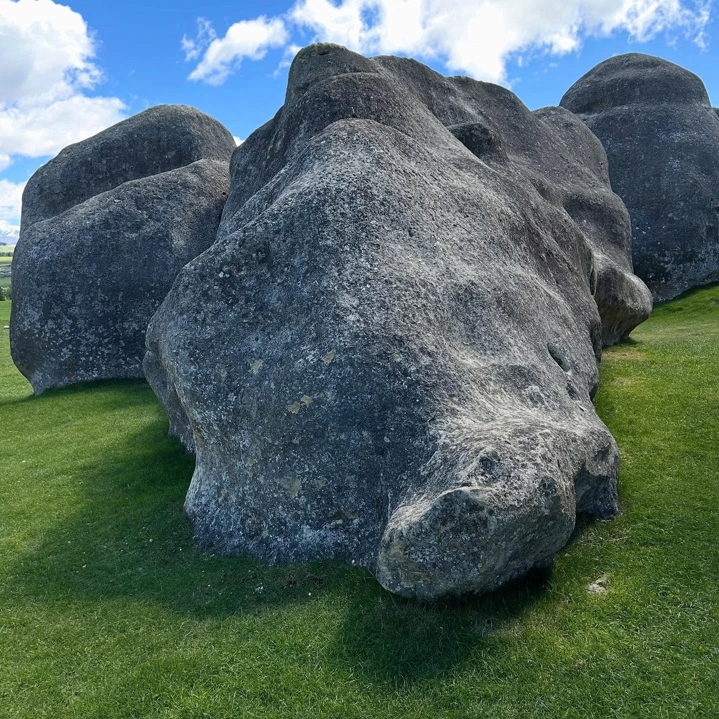 Day 3 of the Nature Art Lab tour took us through the UNESCO Waitati Geopark. We stopped to sketch at Elephant rocks. Picture one was the most elephant-like of them. @natureart_lab #waitakigeopark