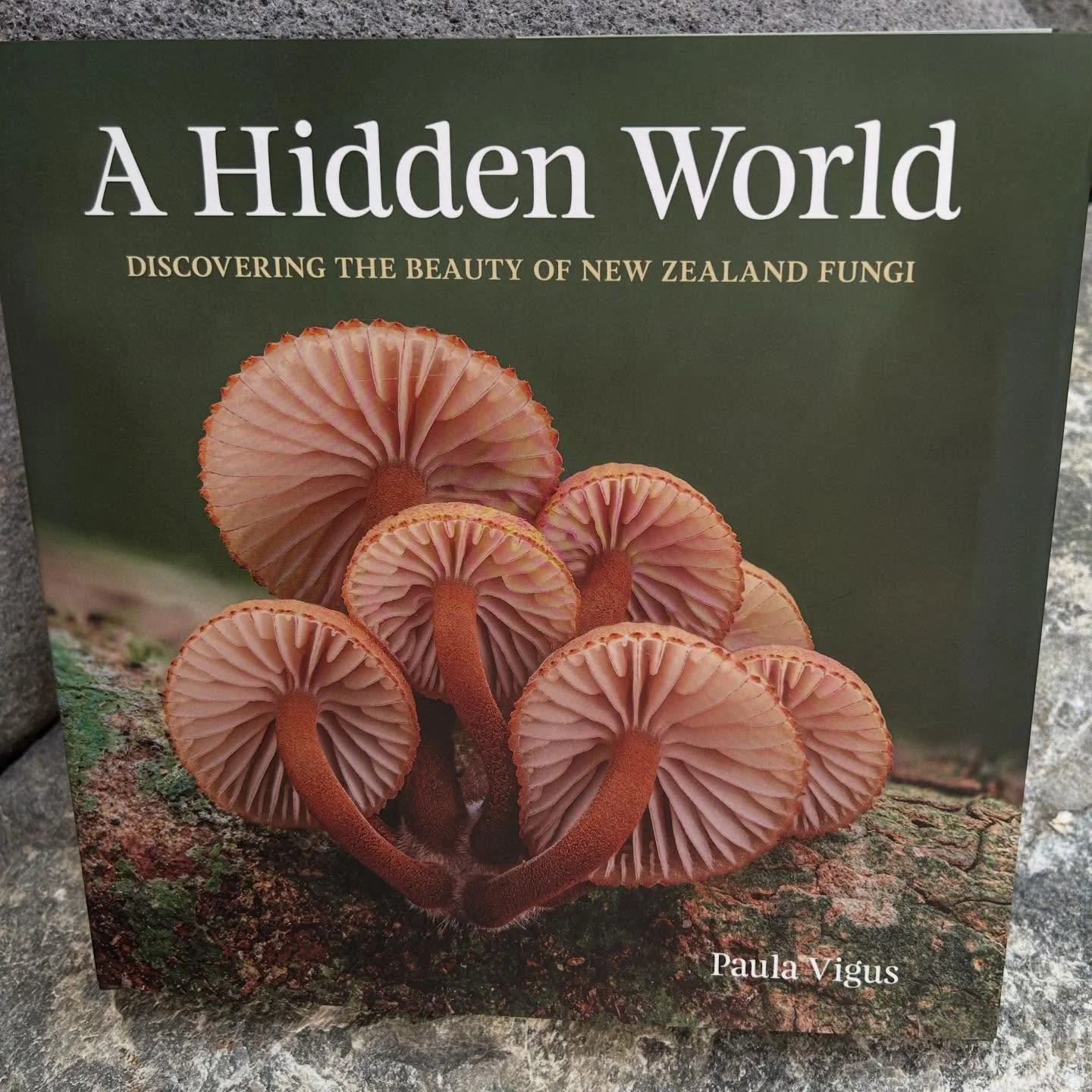 I treated myself to &lsquo;A Hidden World&rsquo; by Paula Vigus - and what a treat! Her beautiful fungi photographs are complemented by personal stories and just the right amount of scientific info. In just a few words she explains things like guttat