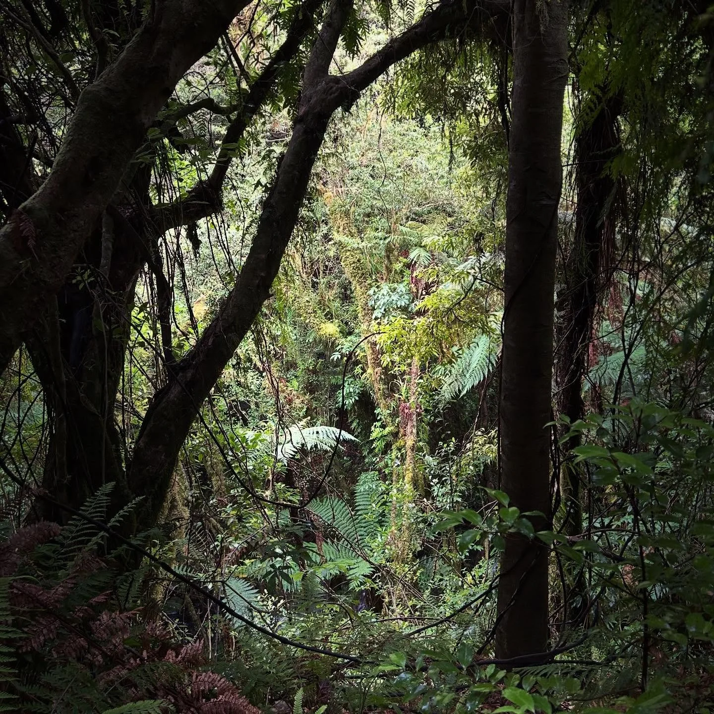 Where else #alwaysbenaturing