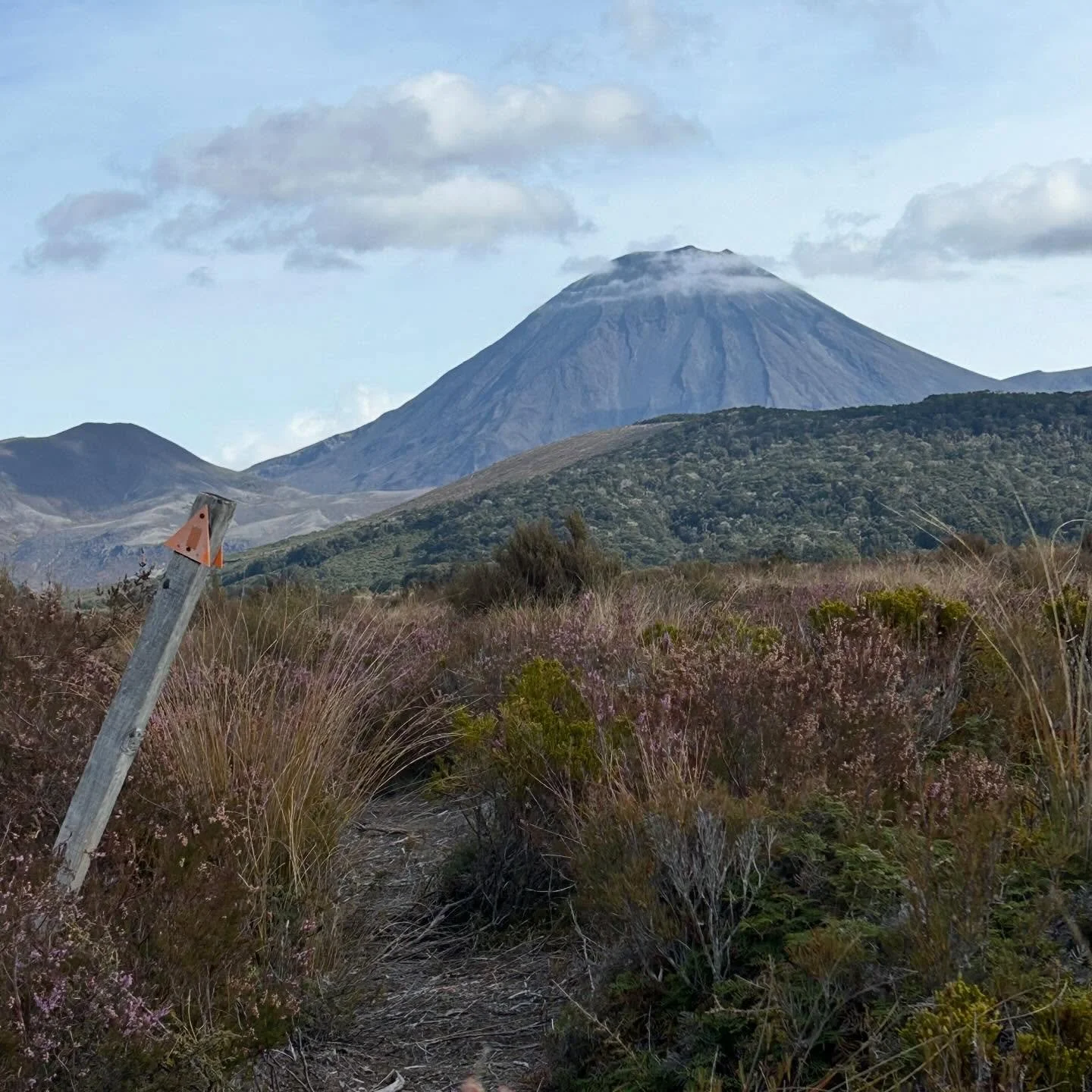 This way to the mountains #tongarironationalpark #ngauruhoe