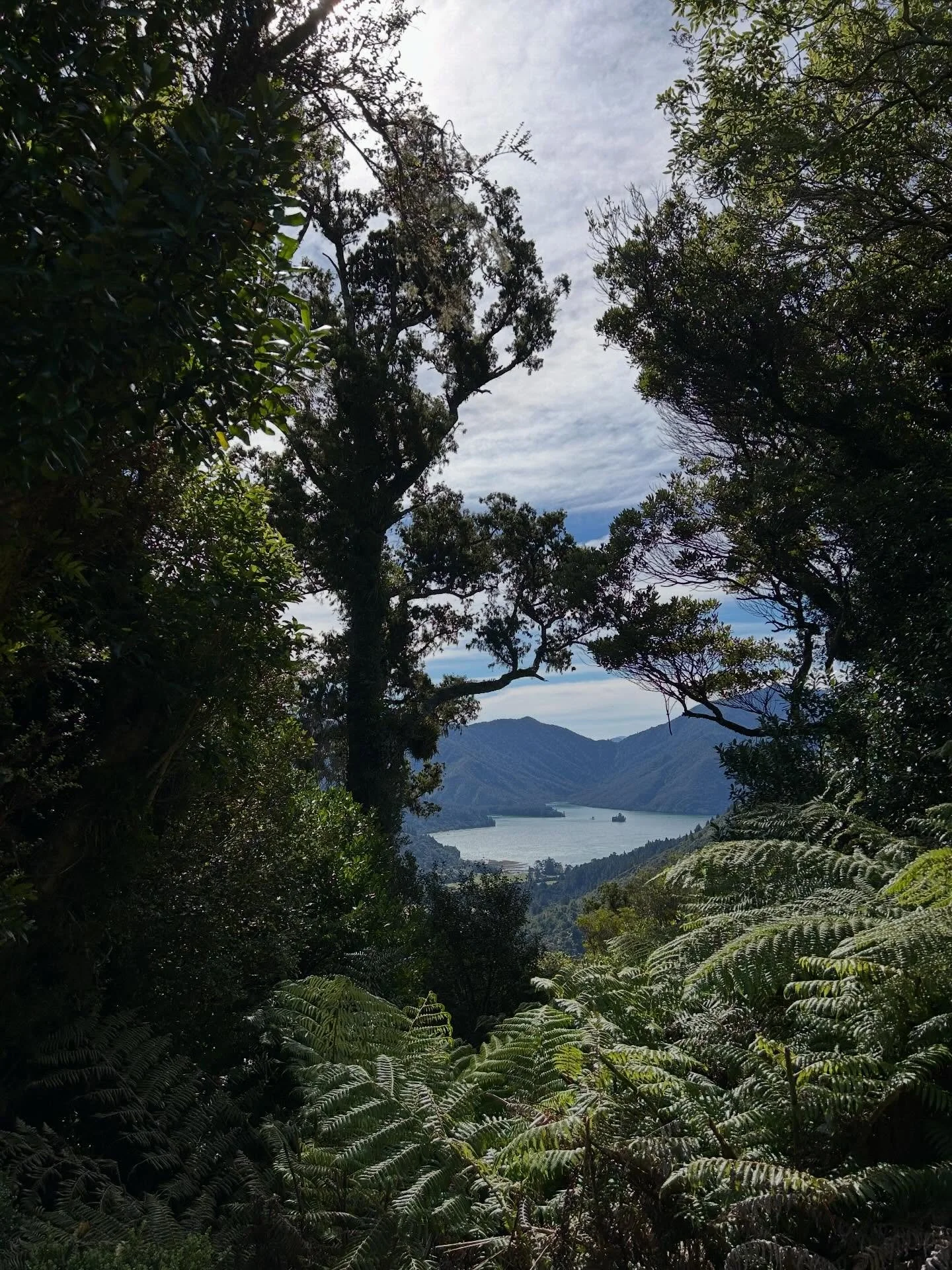 Lunch stop #nydiatrack