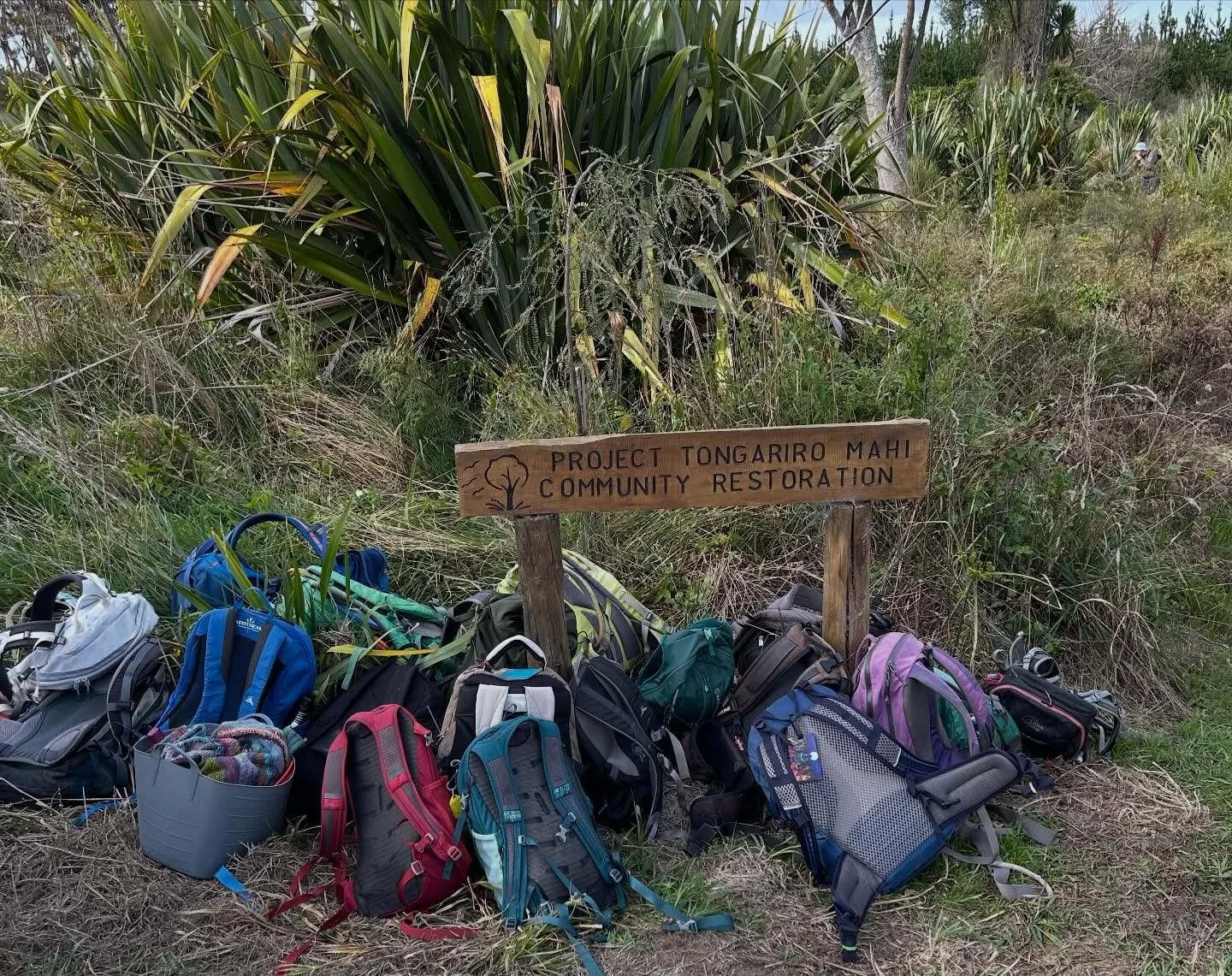 A few weeks ago the Greater Wellington Forest and Bird Tramping group volunteered to release trees from weeds at Oruatua Recreational Reserve. So pleased to have an opportunity to help out with this amazing mahi. #projecttongariro #oruatua #conservat