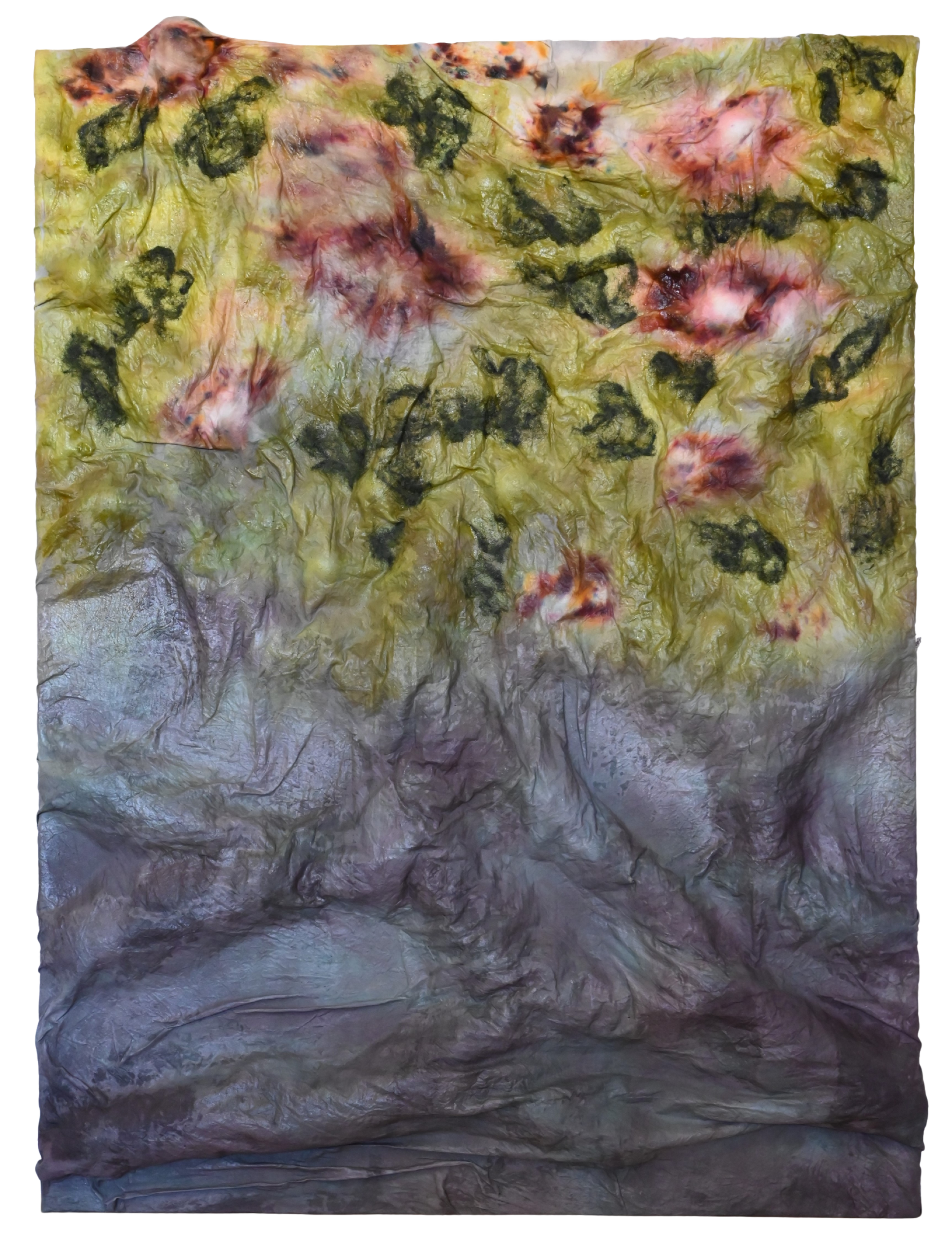 chatfield moss, 2025