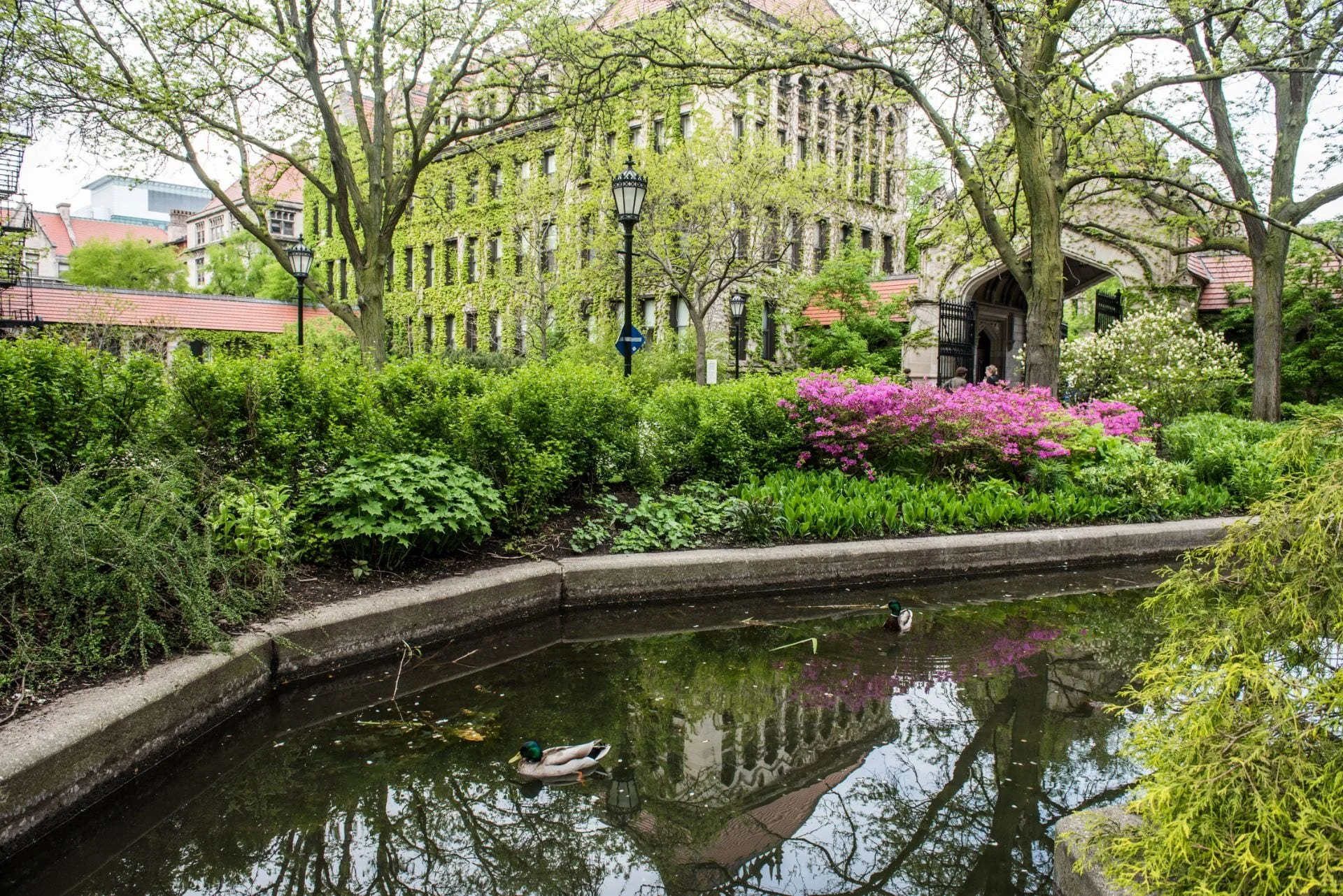 The 10 College Interview Questions That Come Up Again and Again
