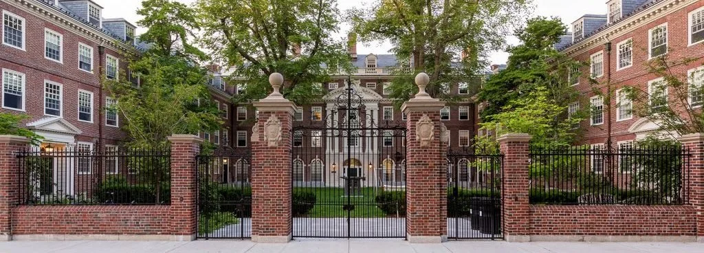 College Interview Emails: How to Respond and Send the Perfect Thank You