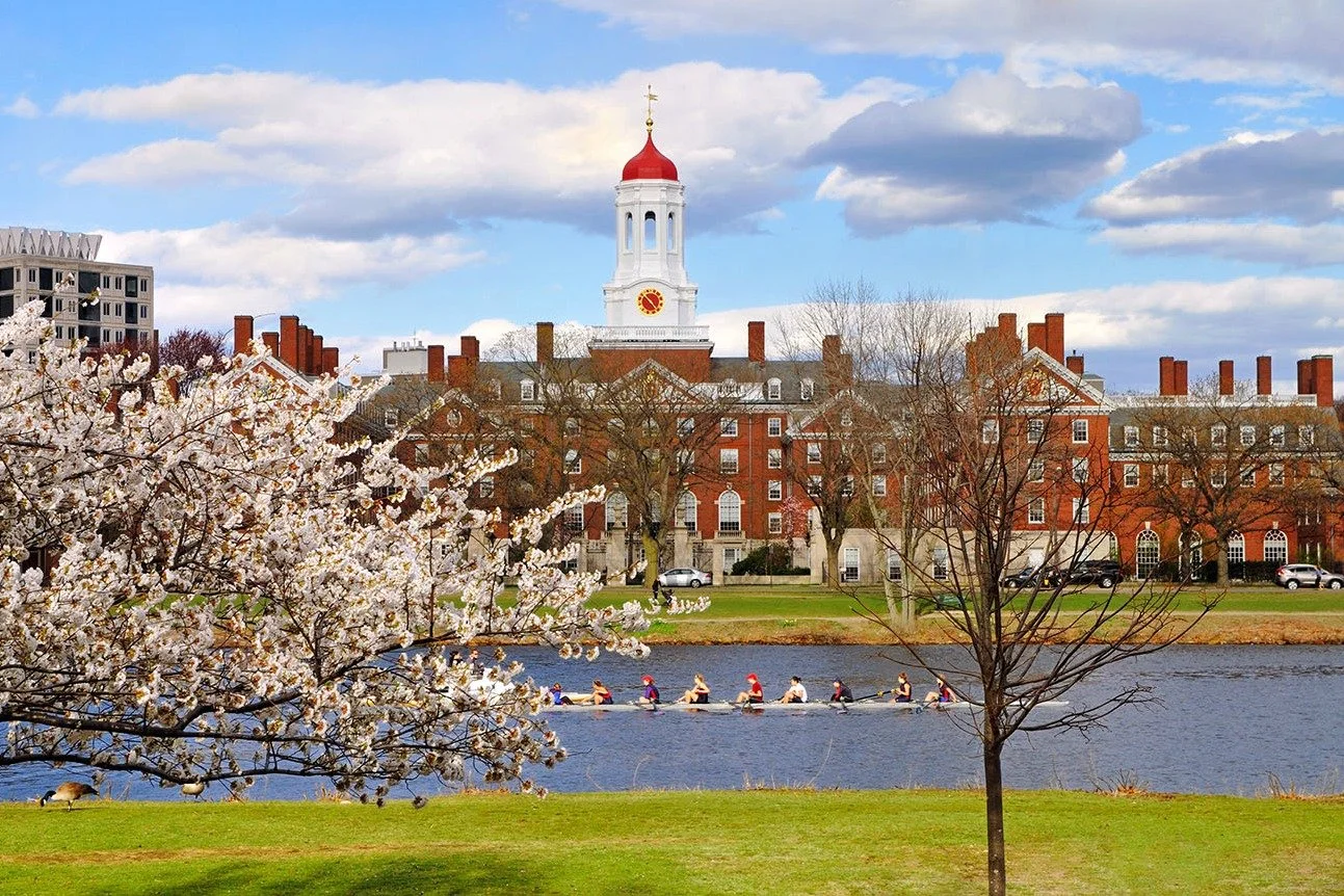Do College Interviewers See Your Application? Here’s What You Need to Know
