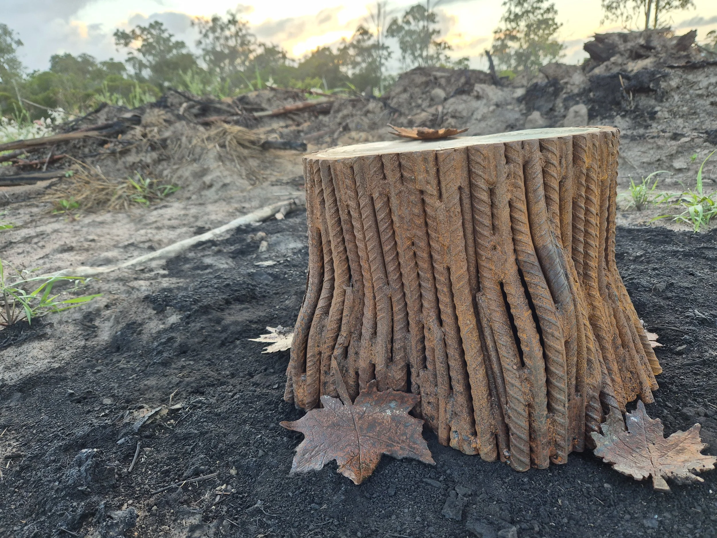 If a tree falls….