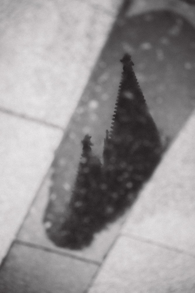 NIK04631_thmb.jpg