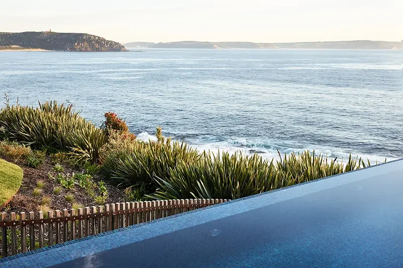 Whale Beach_F_800px.webp