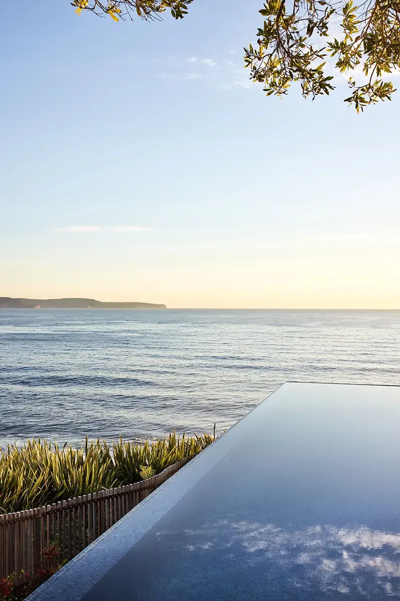 Whale Beach_E_800px.webp