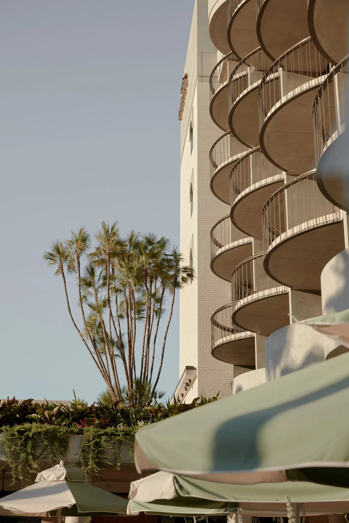 The-Calile-Hotel-by-Richards-Spence-Issue-08-Feature-The-Local-Project-Image-8.jpg