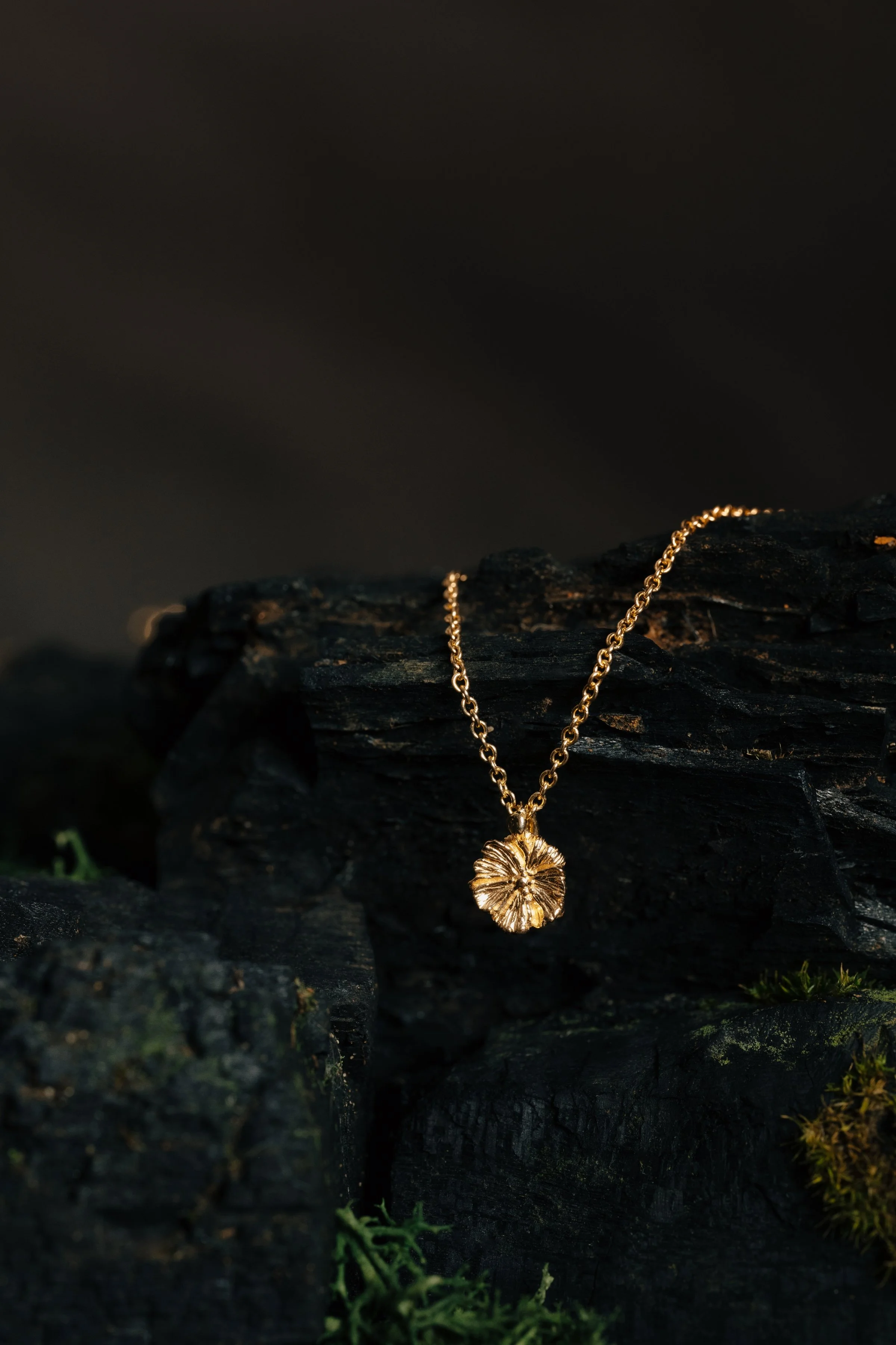 A gold necklace with a flower pendant resting on black charred wood, with some green moss and small plants at the bottom.