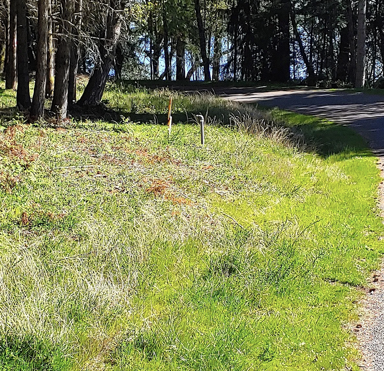 SOLD! - $44,000 | 8,659.728 Square Foot Lot
10228 Totem Way, Anderson Island, WA 98303 | House! Power and Water are in the Street and a Septic Perk Test is completed.