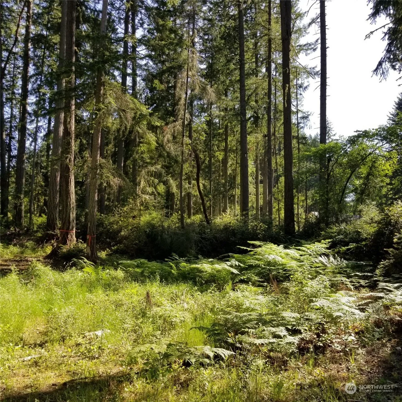 SOLD! - 18K | 11308 Laurel Pl,
Anderson Island, WA 98303