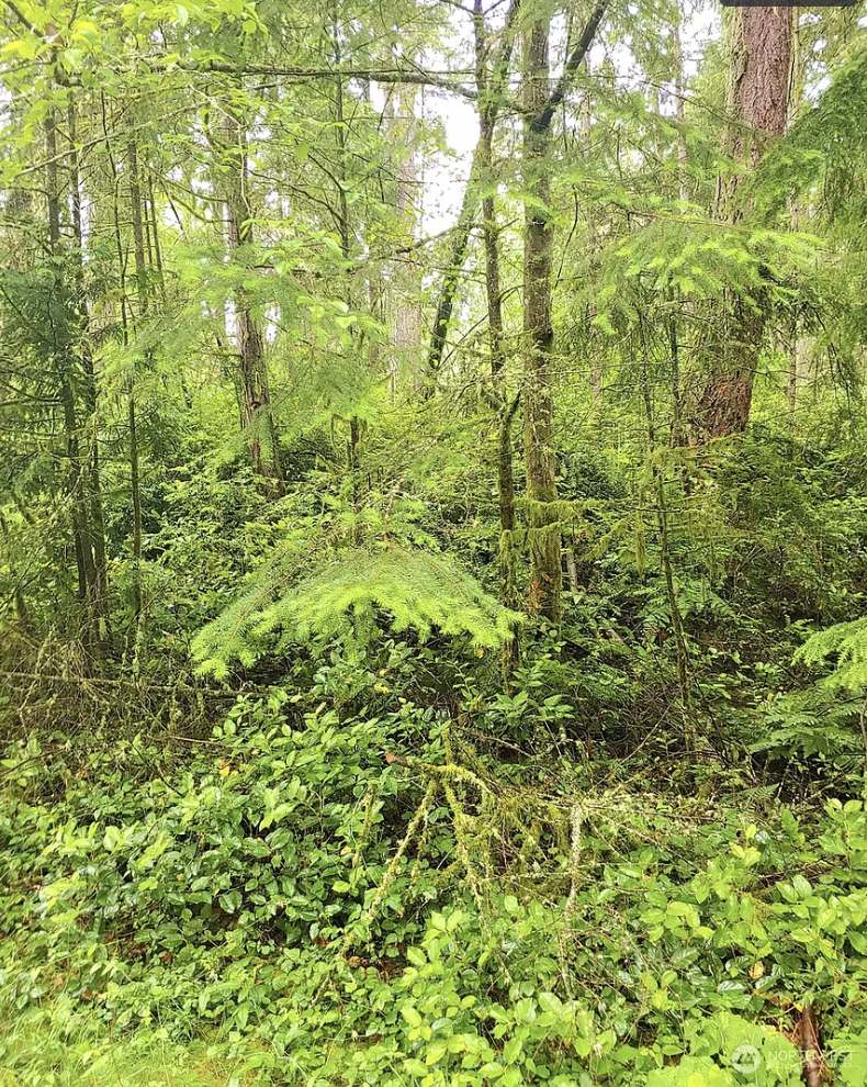 SOLD! - $15,500 | 9,400.248 Square Foot Lot
12911 90th Street Ct, Anderson Island, WA 98303 | Beautiful Anderson Island Riviera lot for your dream house and recreational paradise! Secluded larger lot near the community farm