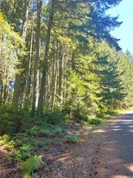 SOLD! - 59K | 32,839 SQFT | 11004 & 11012 Spruce Dr, Anderson Island, WA 98303