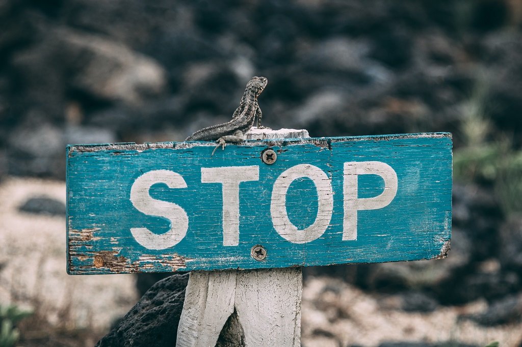 Why willpower is a myth and never works for long