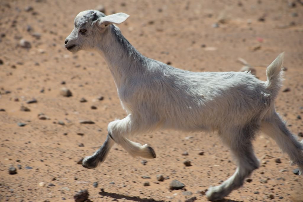 Scapegoat: How to determine you're one and take steps to heal