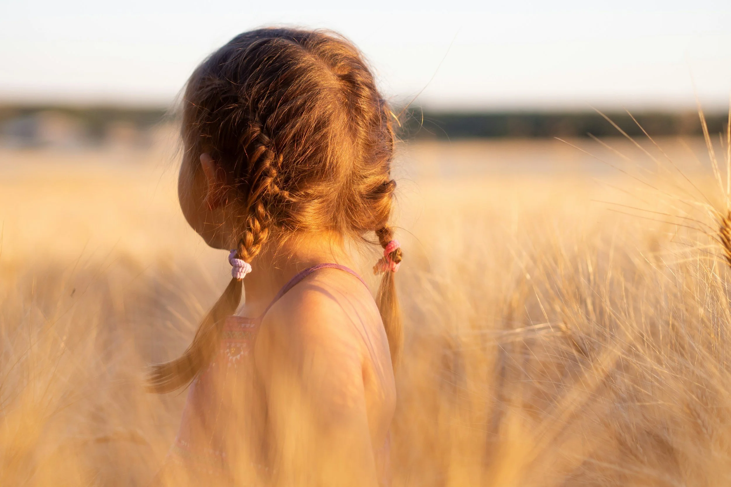 small child with blond braids in field looking away