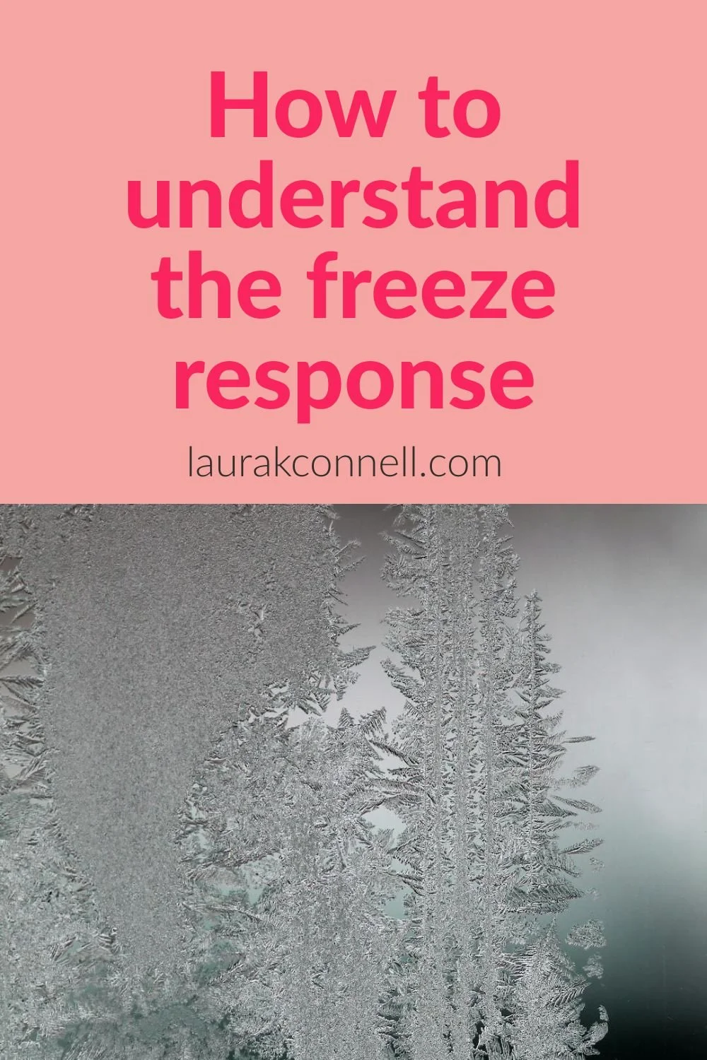 How to understand the freeze response and its purpose — Laura K. Connell