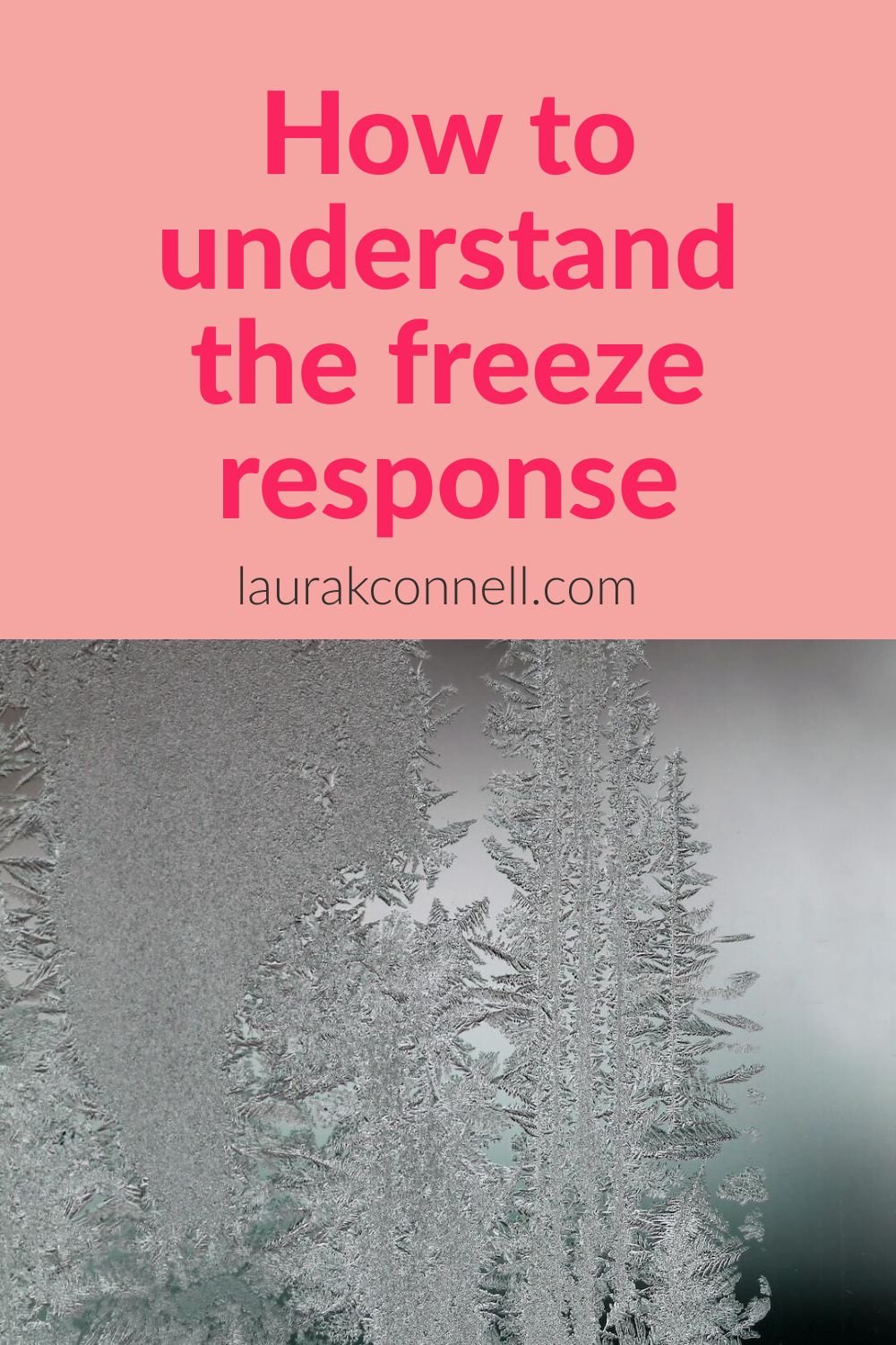 How to understand the freeze response and its purpose — Laura K. Connell