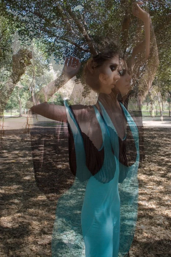 dress in the wood_4.jpg