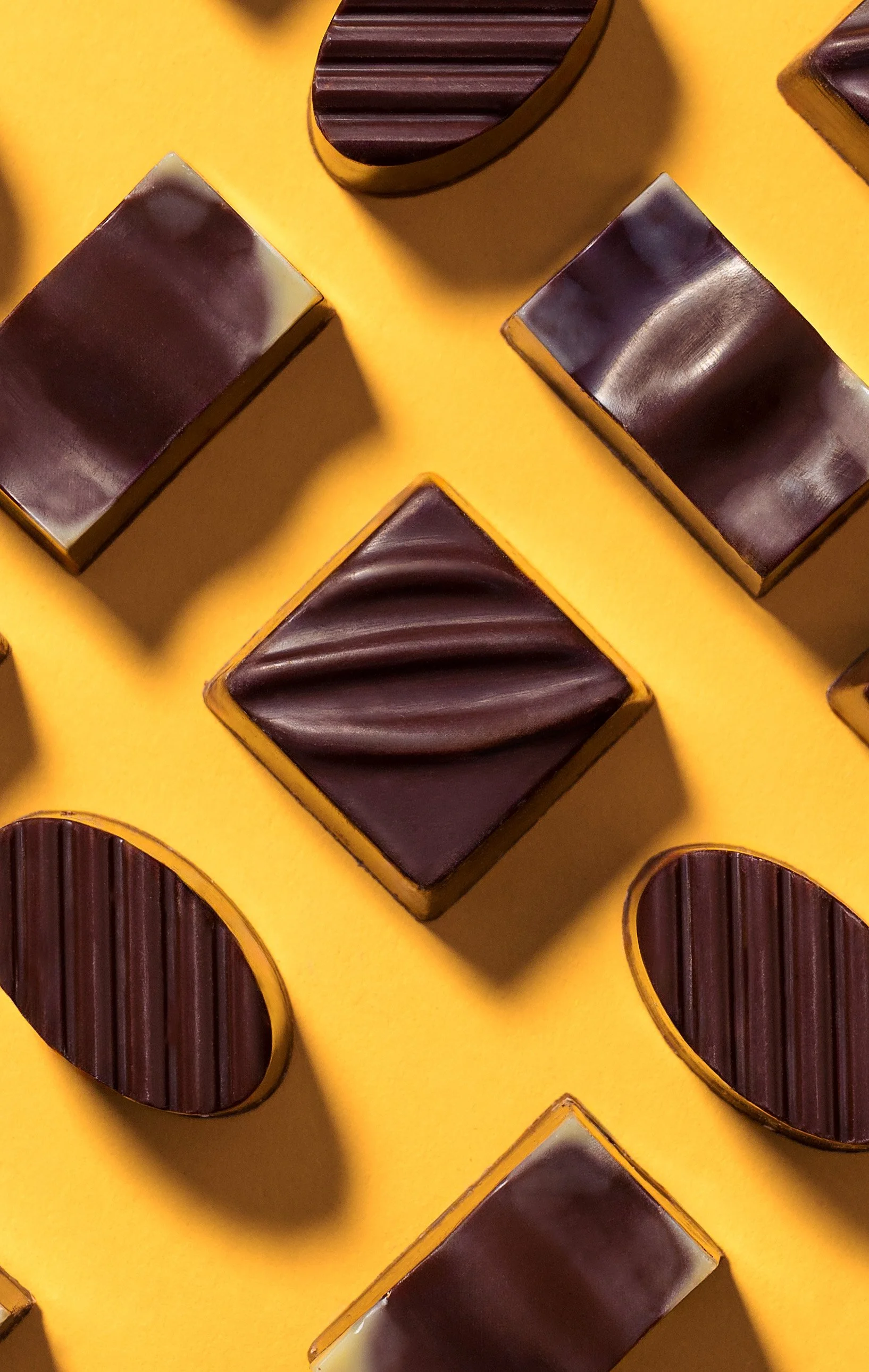 Ara Chocolat miniature ©ClaraRaimbaud