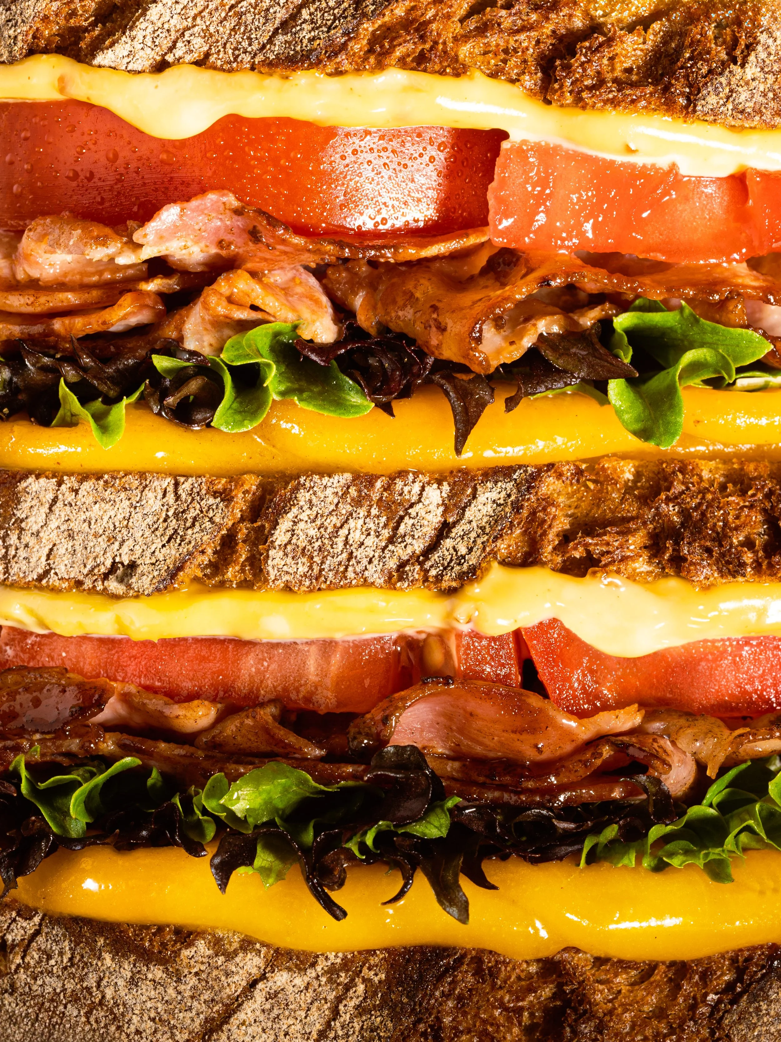 Sandwich Macro ©ClaraRaimbaud