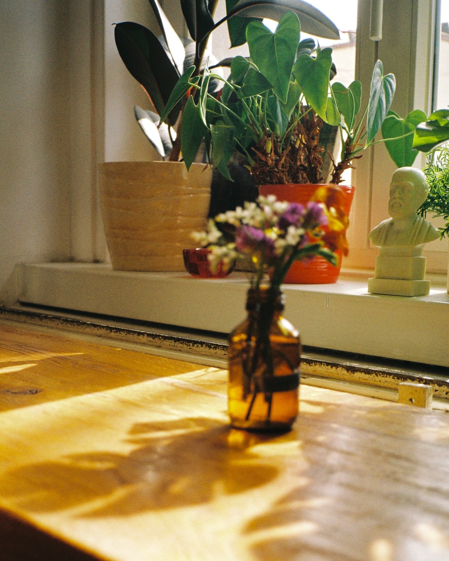 the last days between Berlin, Cologne and Paris 🌼 I have for sure underestimated the amount of work one has to deal with in order to emigrate from Germany. Tons of paperwork (that does not seem to get any less?) phone calls with various offices and 