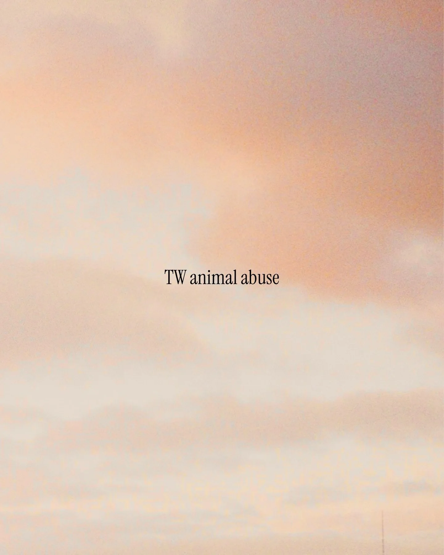 thank you to everyone reading the full text :)
#animalwelfare #whaletimmy #animalrights