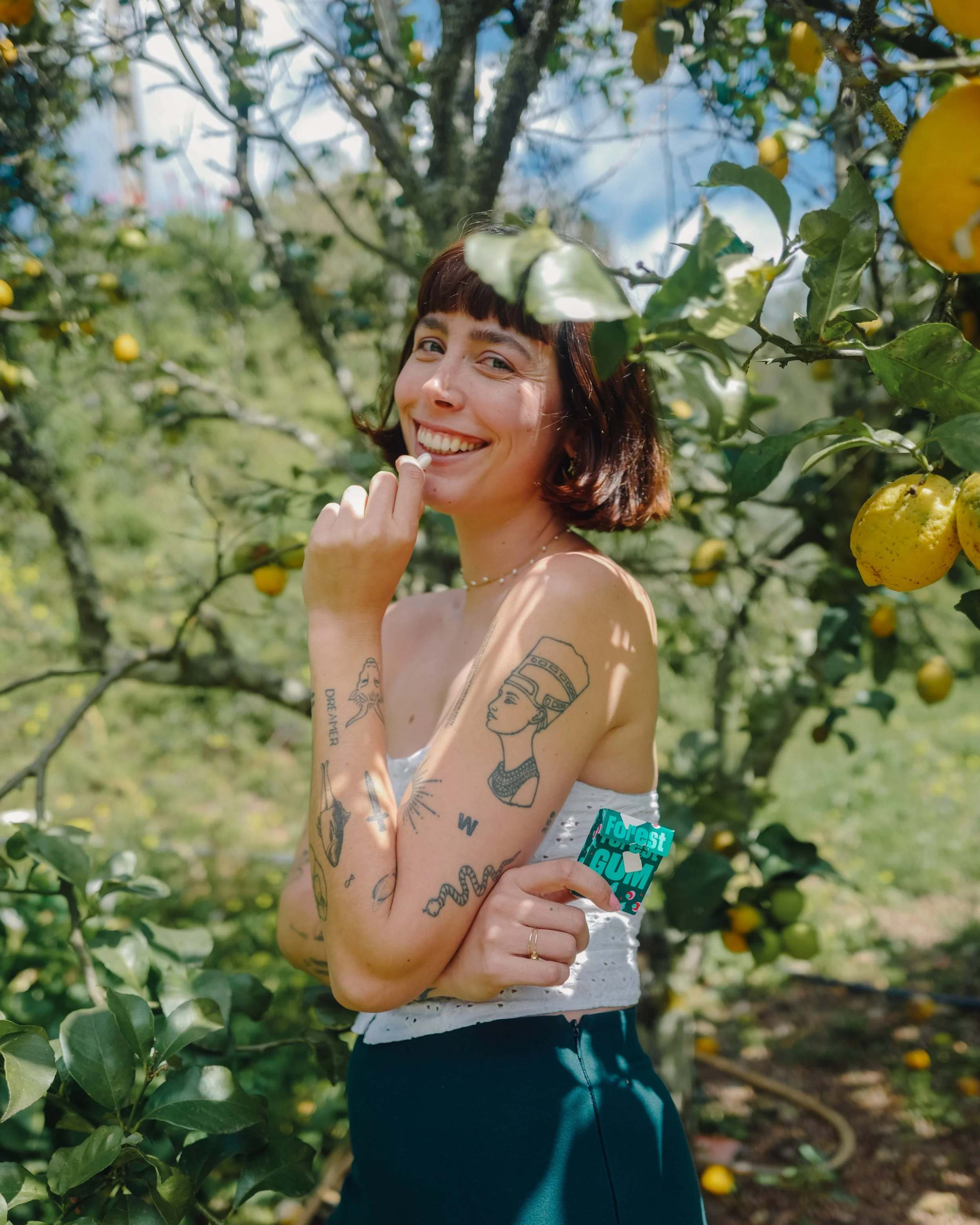 Content Creation for Forest Gum