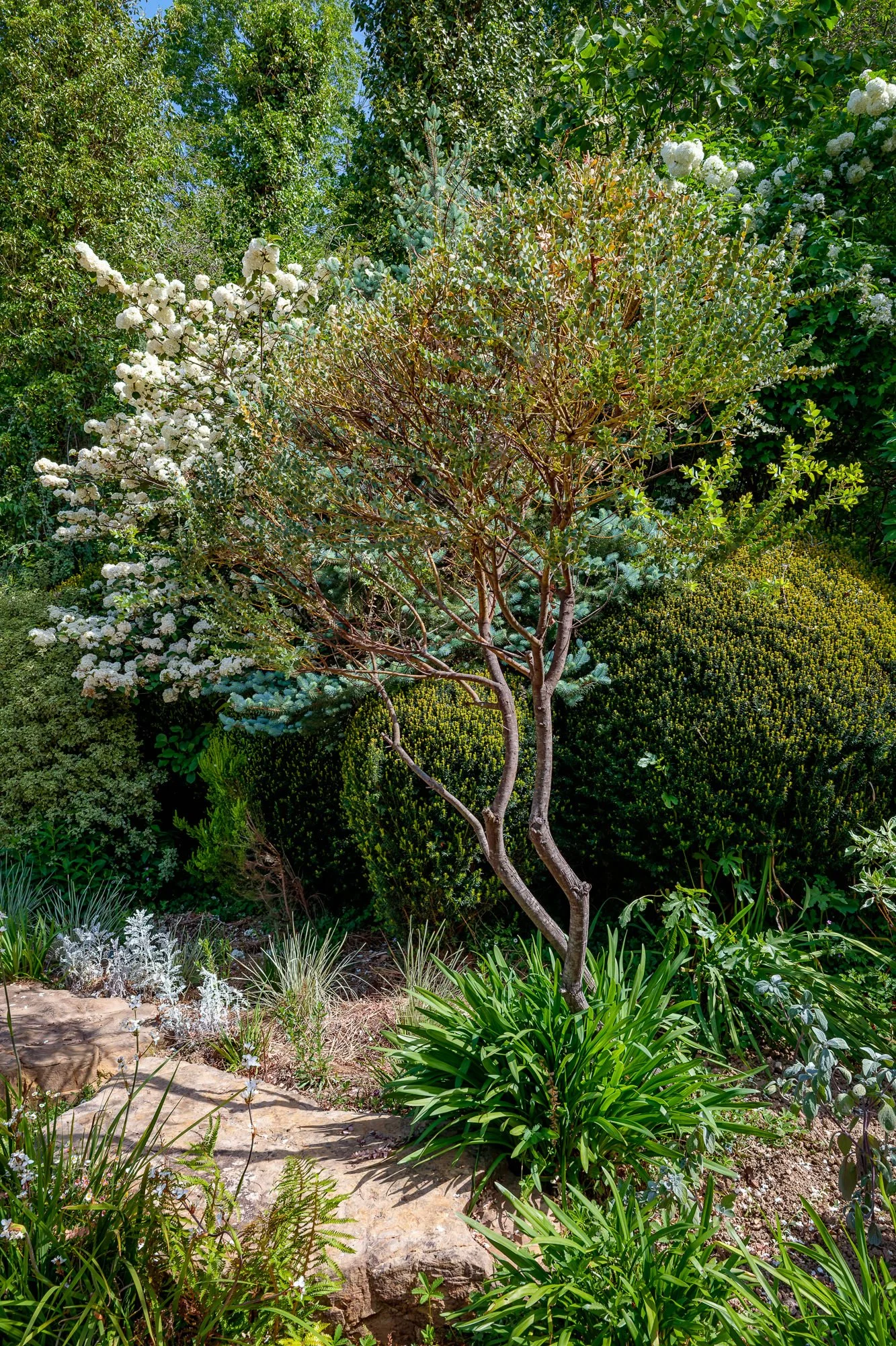 Lur Garden