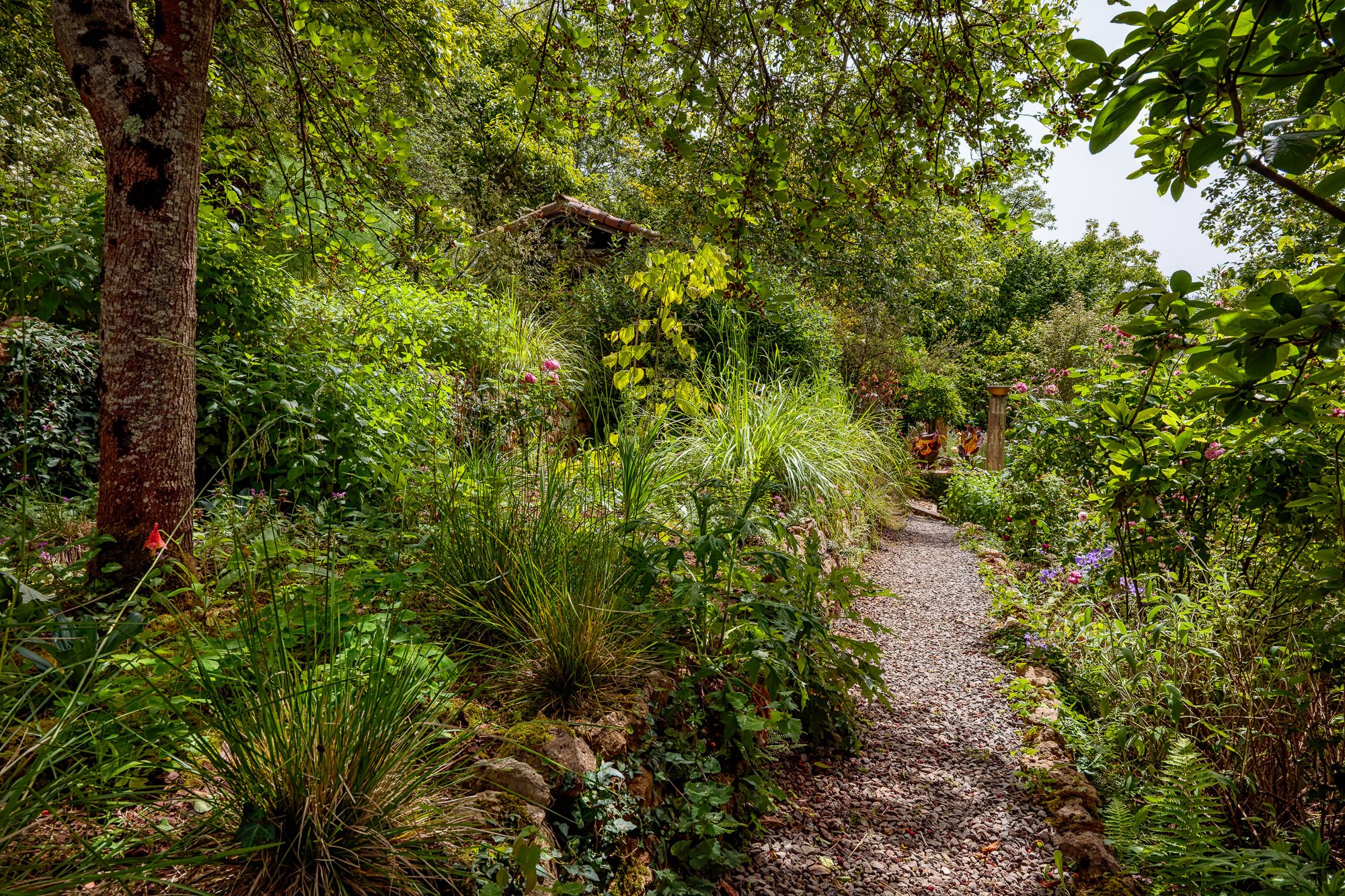 La Corolla Garden