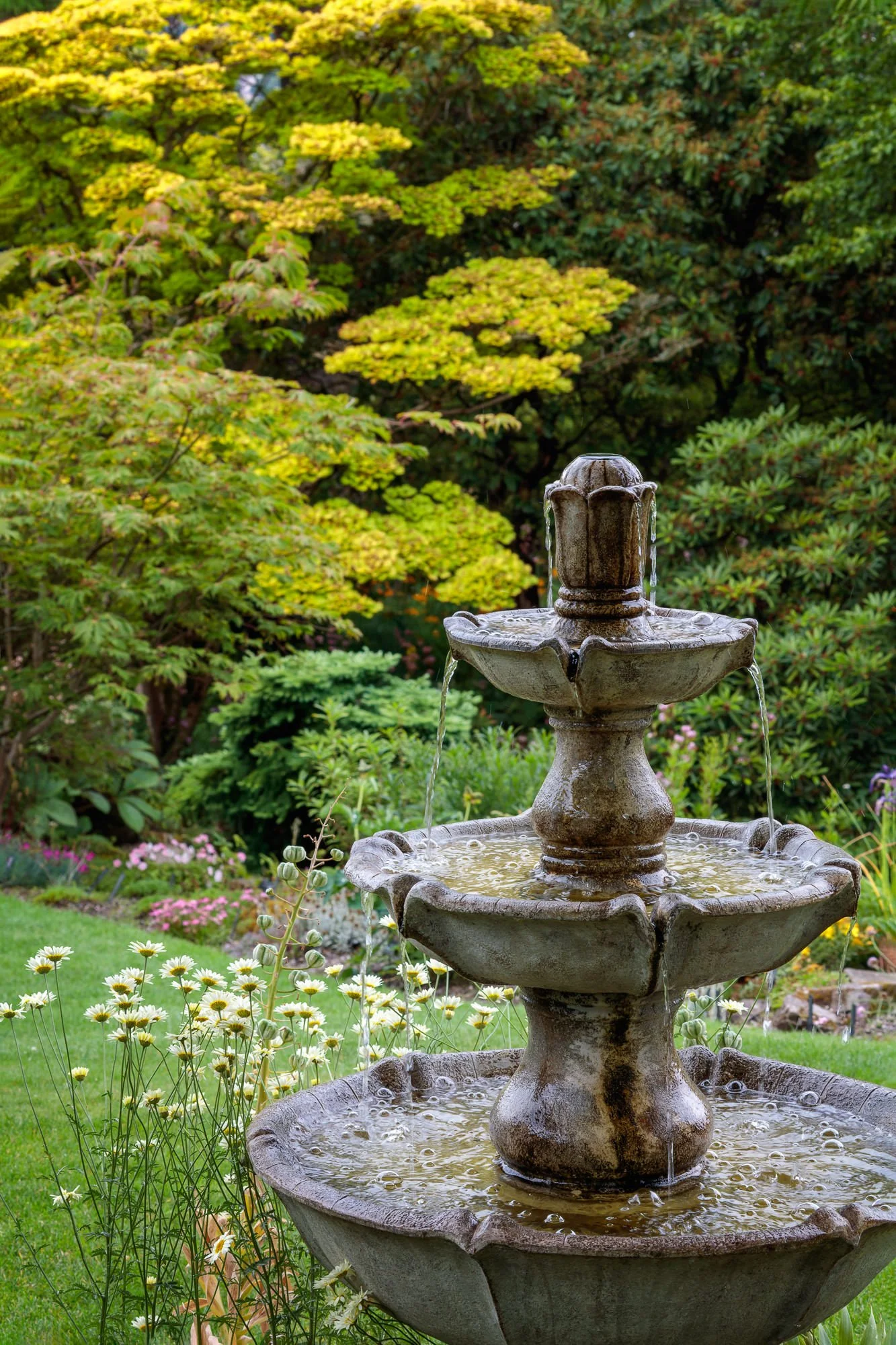 Branklyn Garden, Perth, Scotland, UK