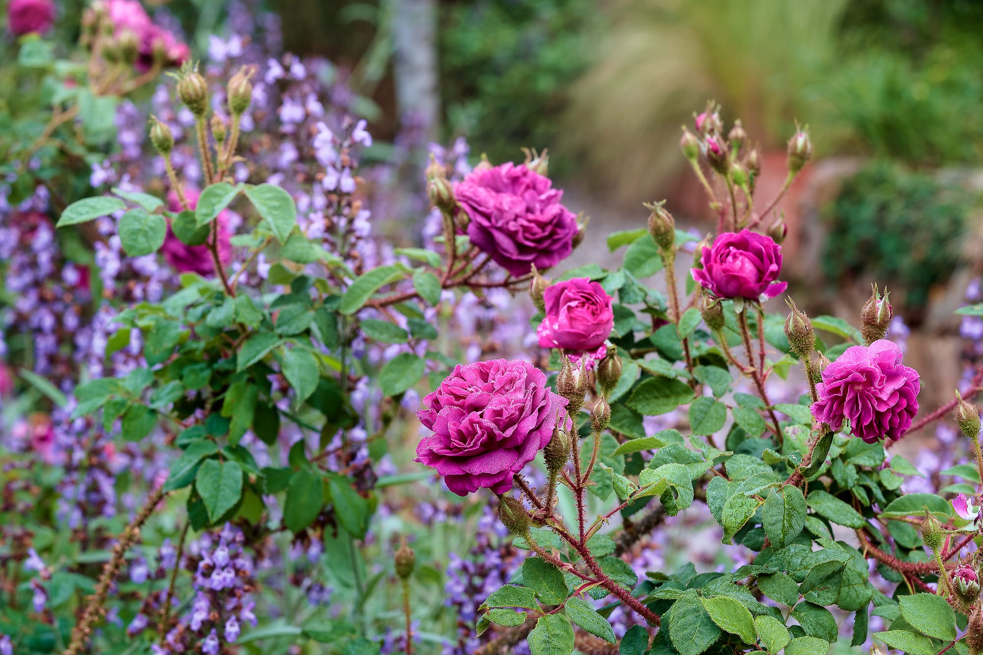 Winners and Losers - part 2