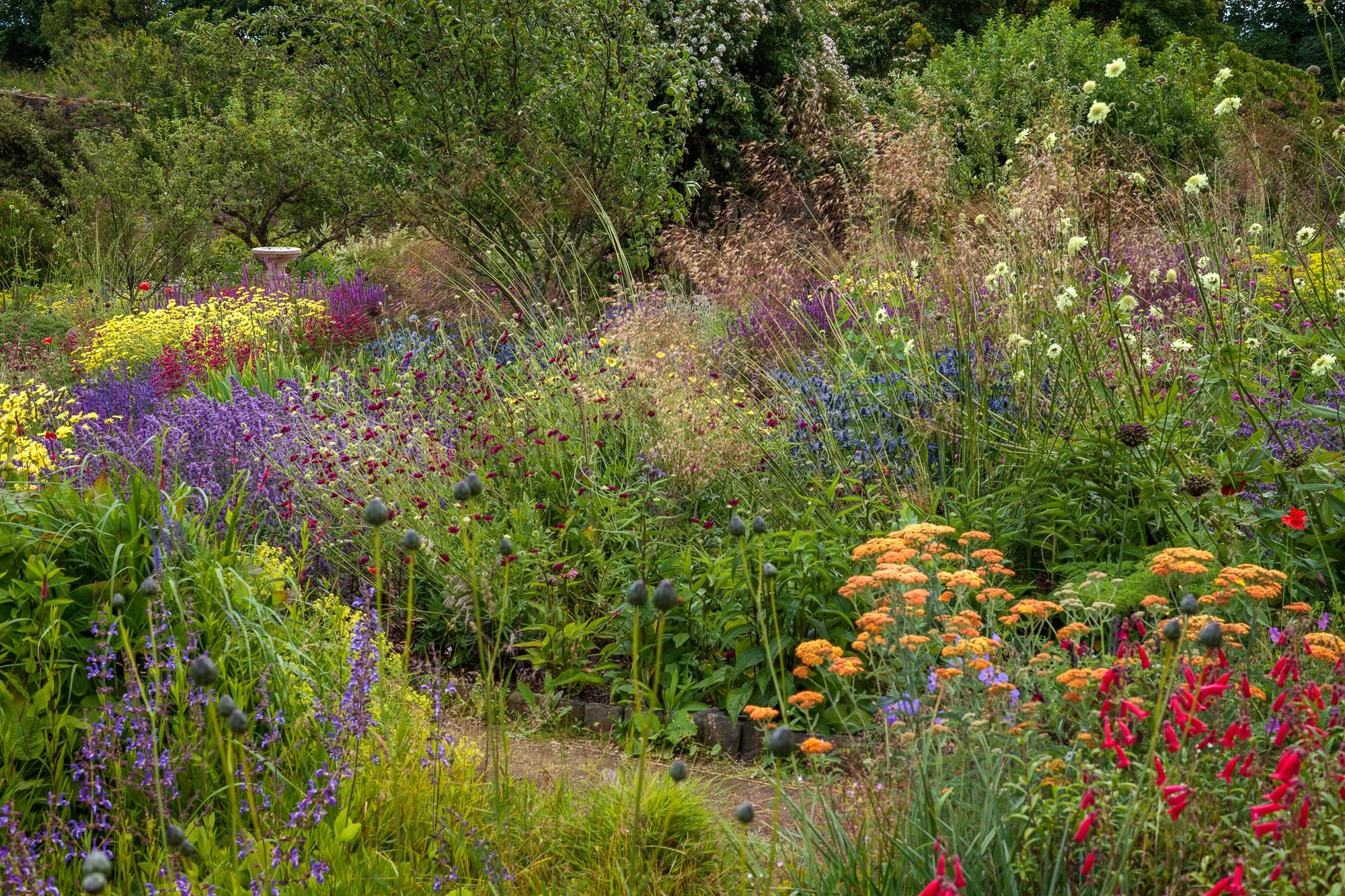 Cambo Gardens