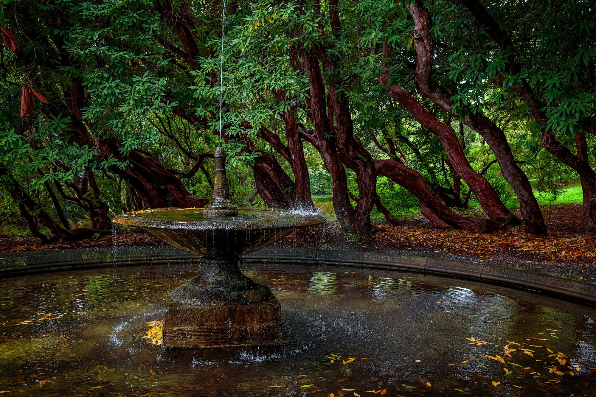 Holker Hall & Gardens