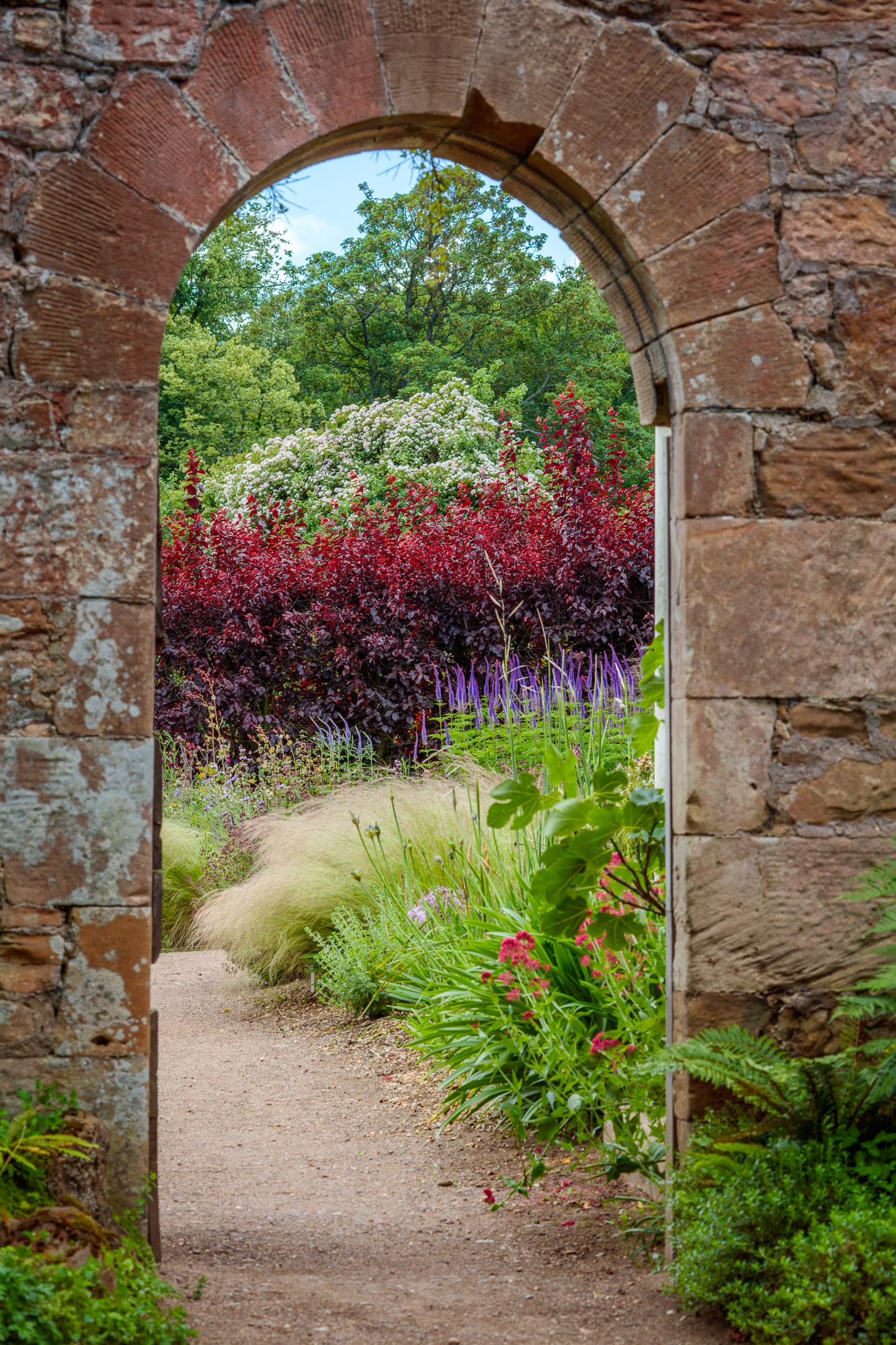 Cambo Gardens