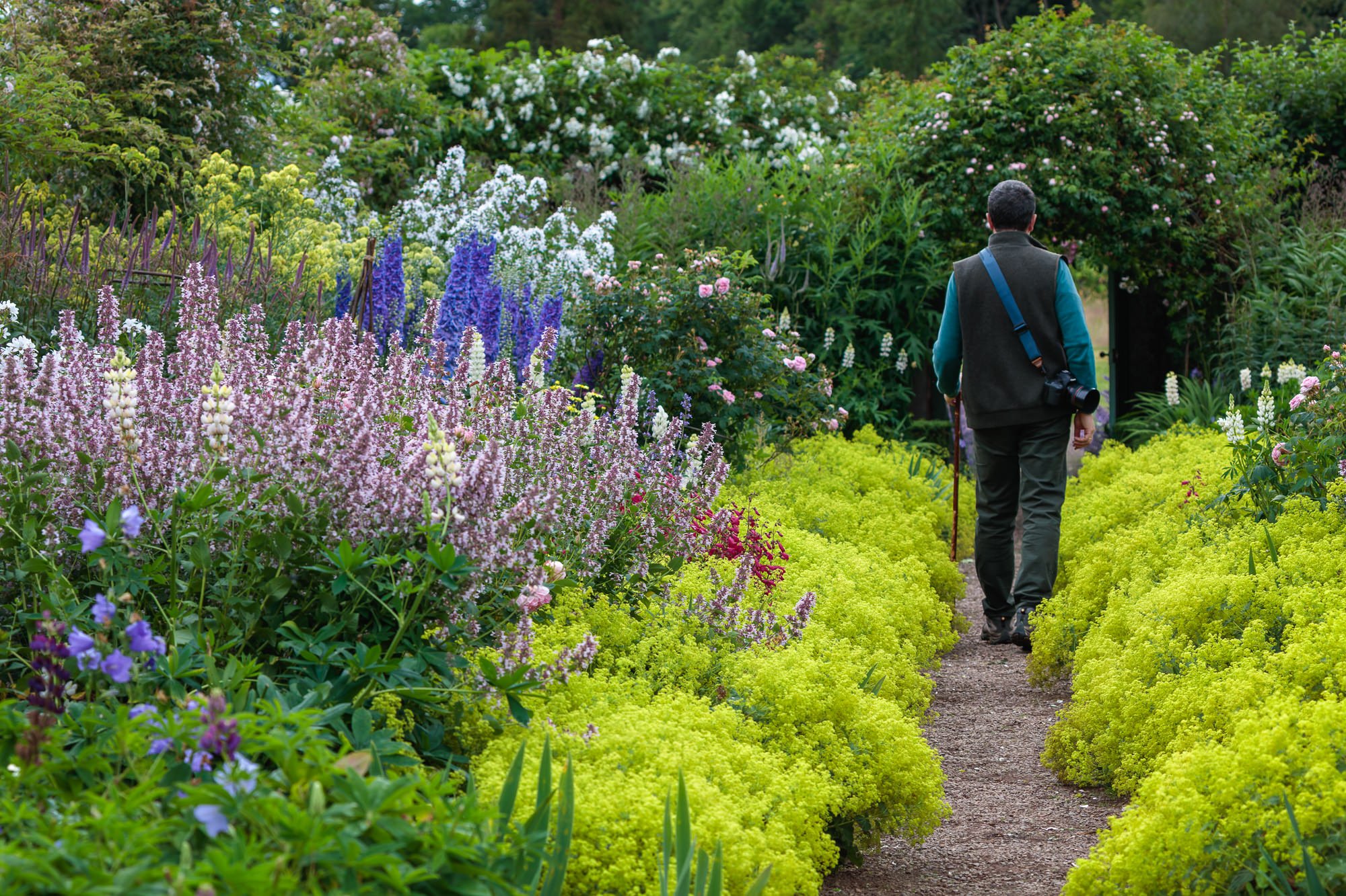 Carolside Gardens