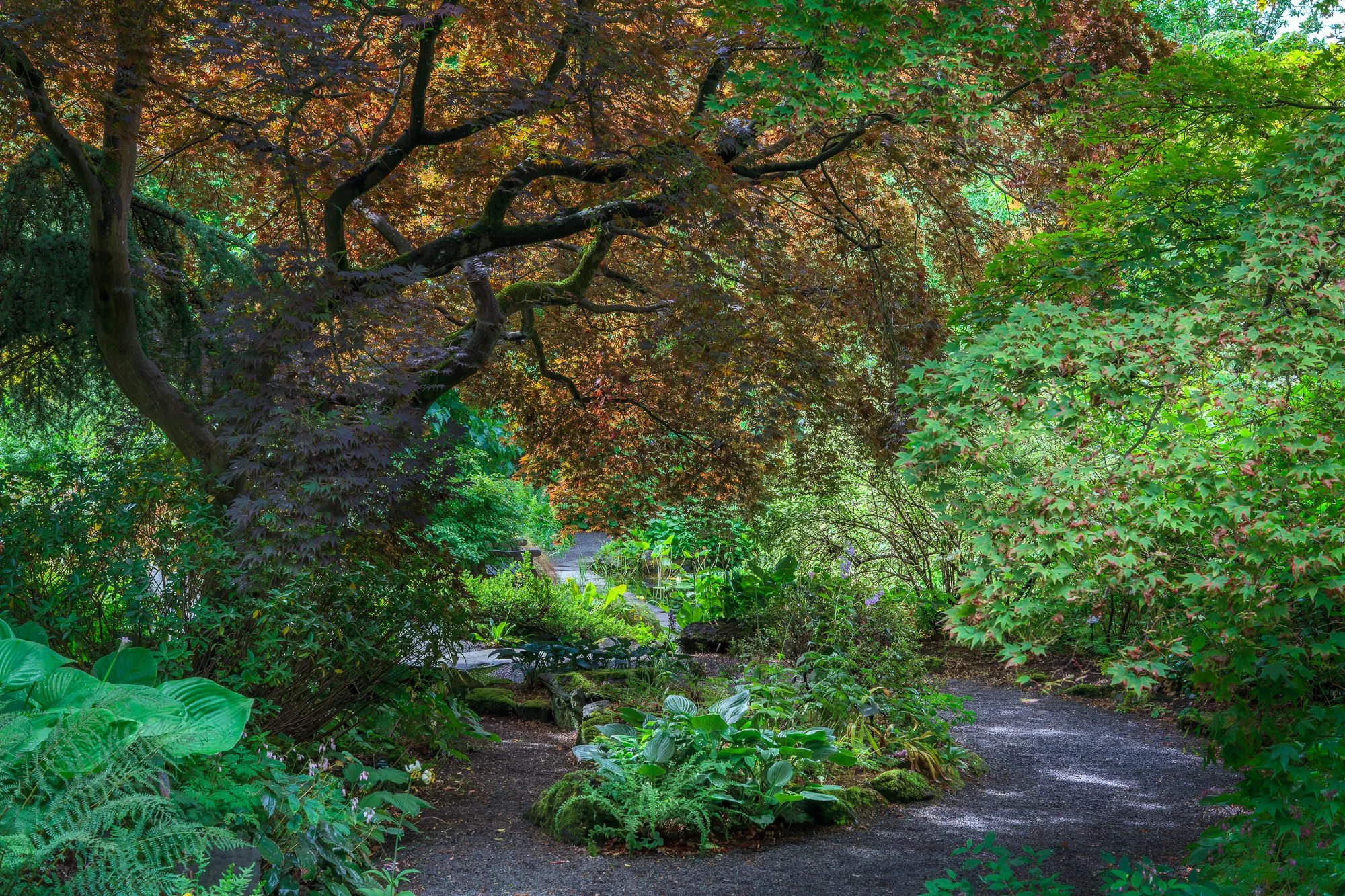 Branklyn Garden, Perth, Scotland, UK