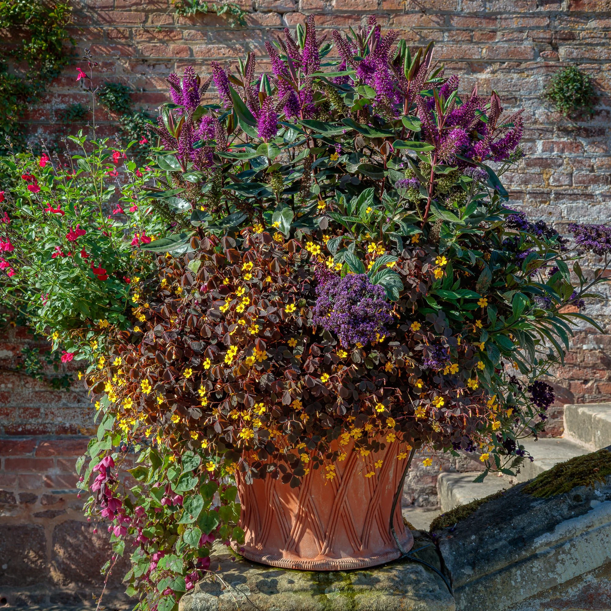 Powis Castle and Garden