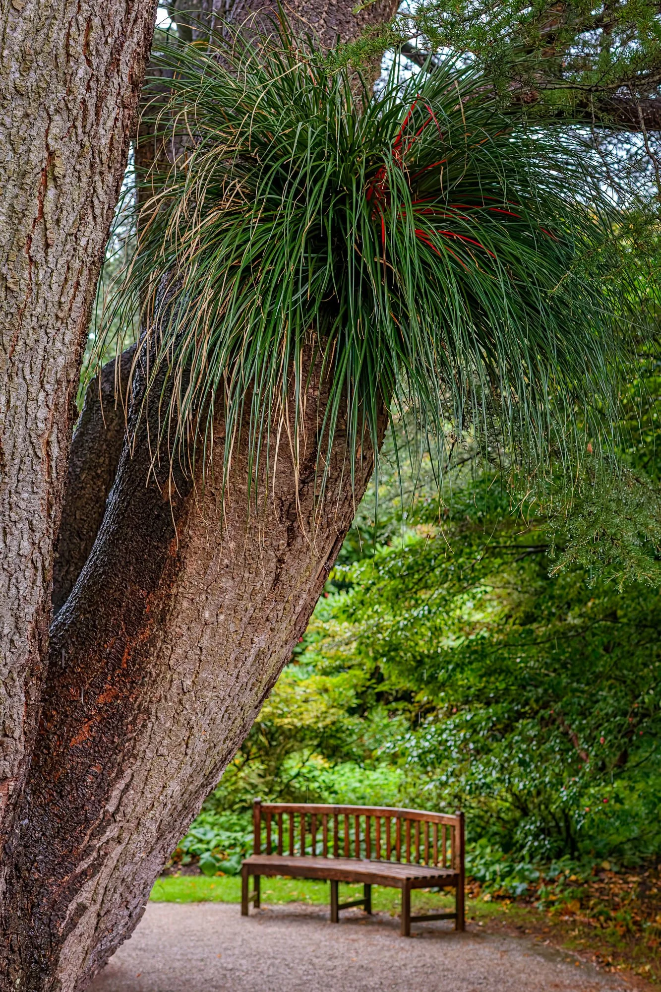 Holker Hall & Gardens