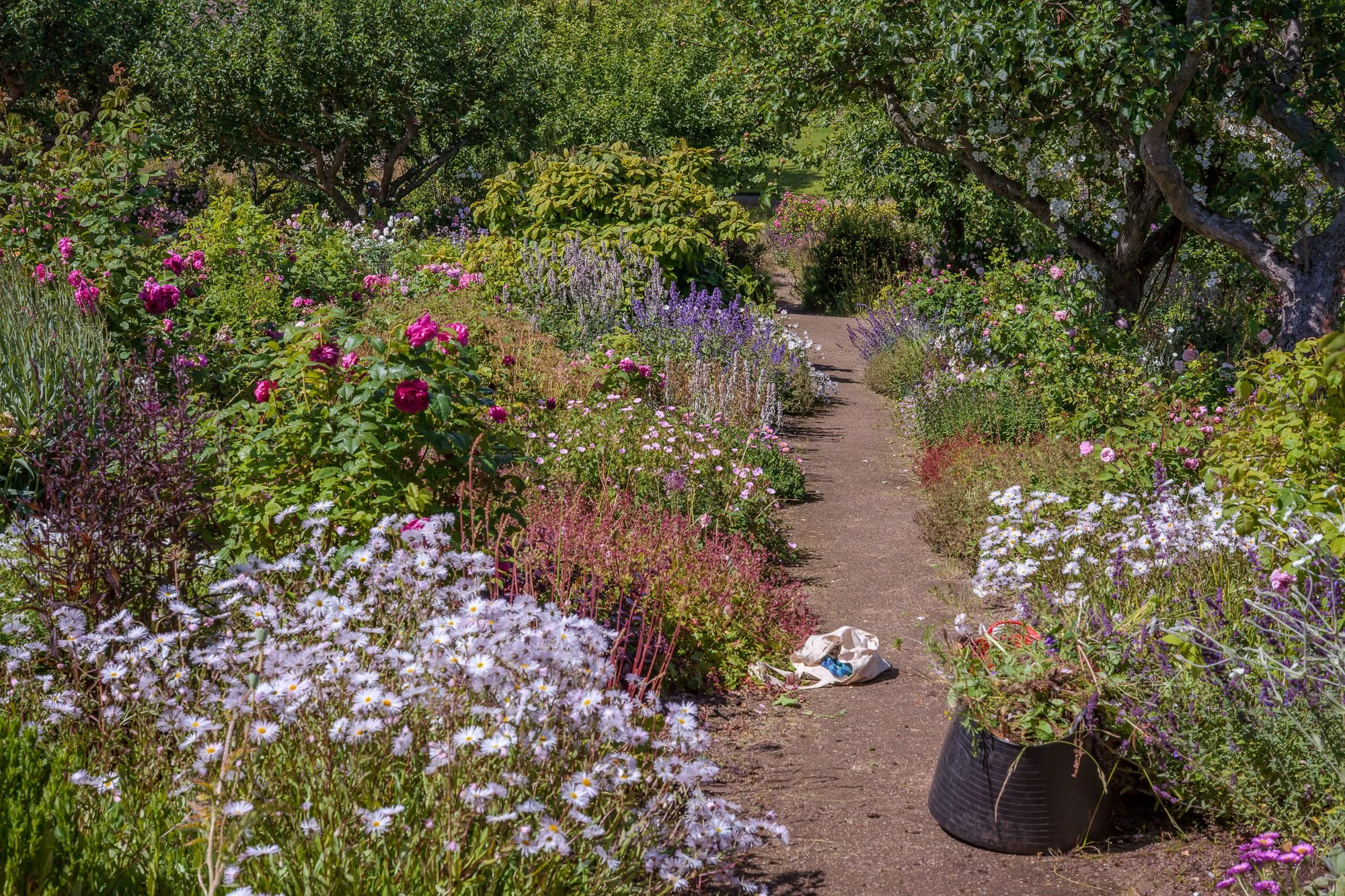 Cambo Gardens