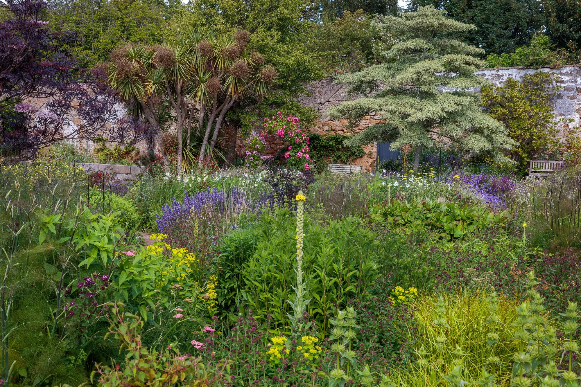 Cambo Gardens