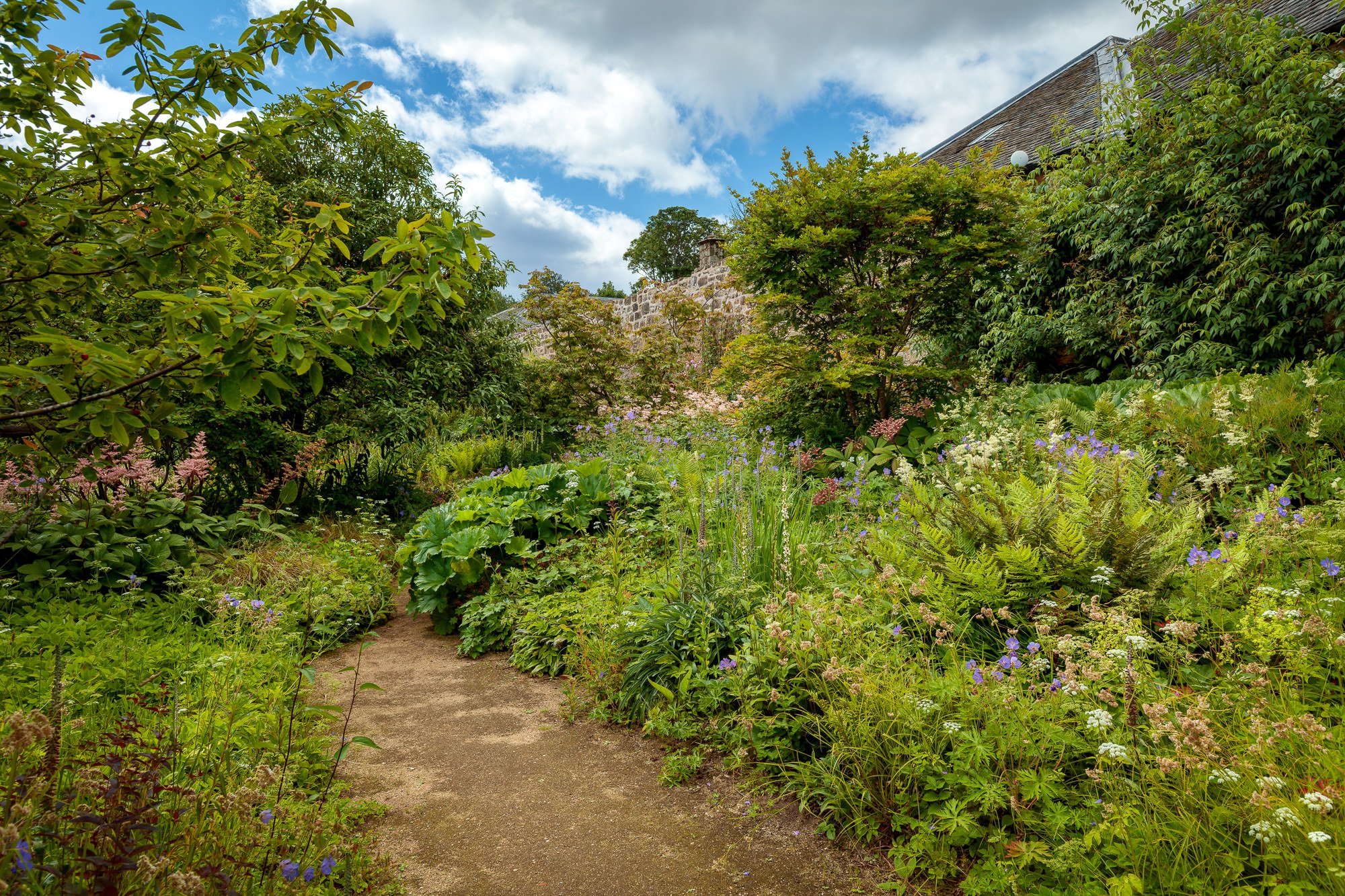 Cambo Gardens