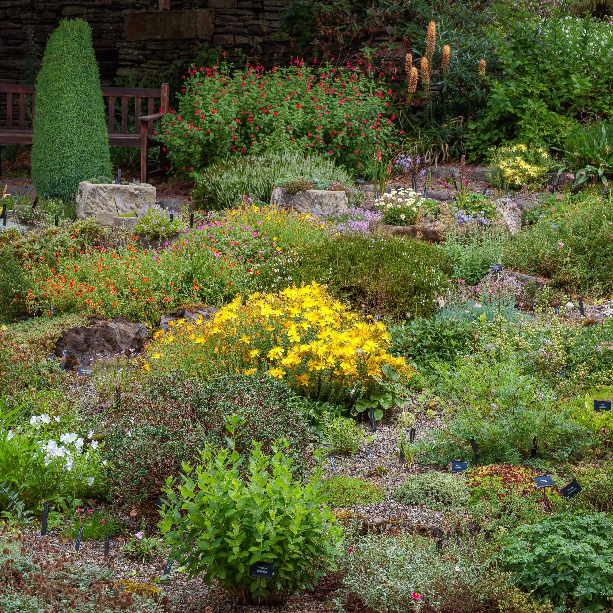 Branklyn Garden, Perth, Scotland, UK