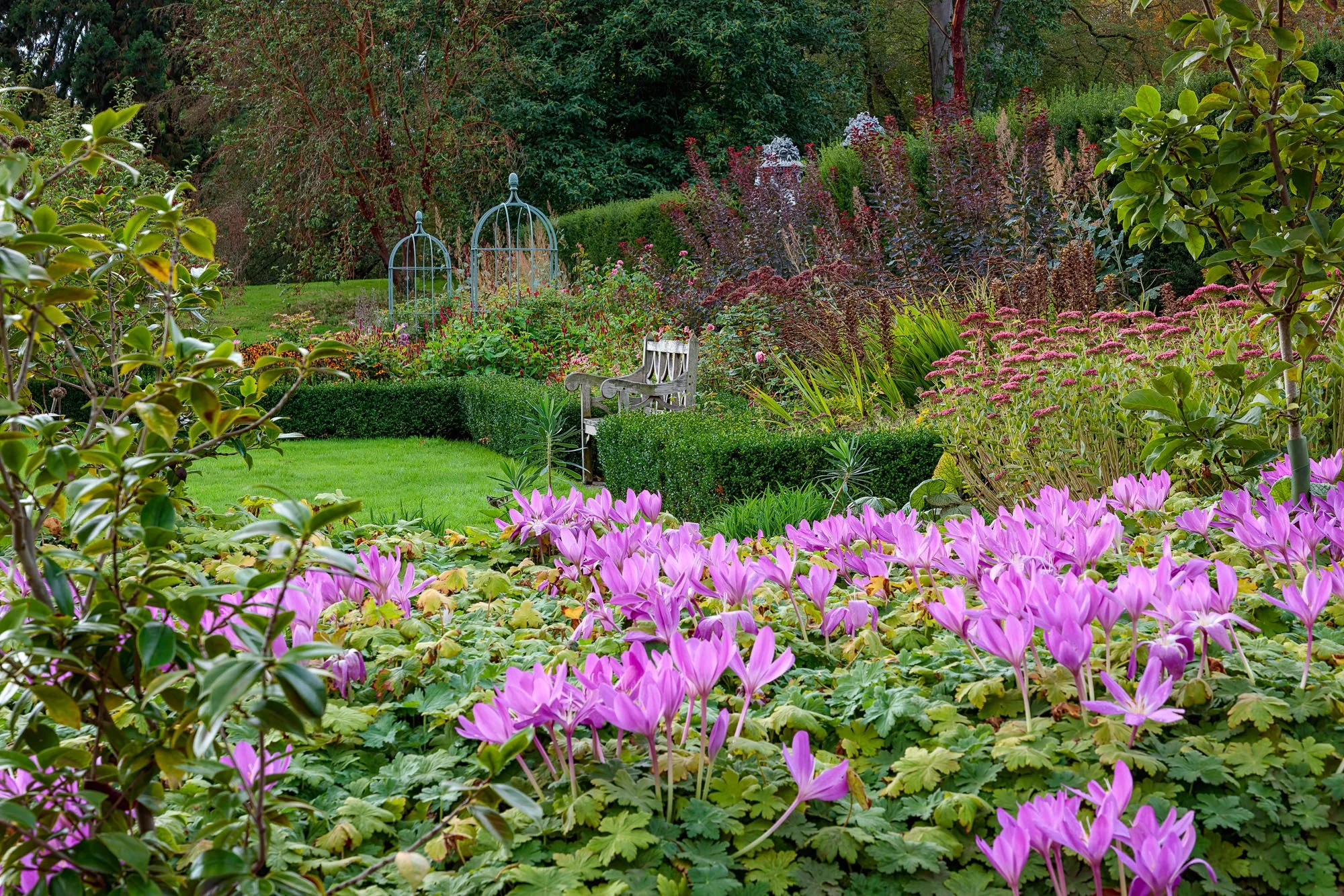 Cholmondeley Castle Gardens