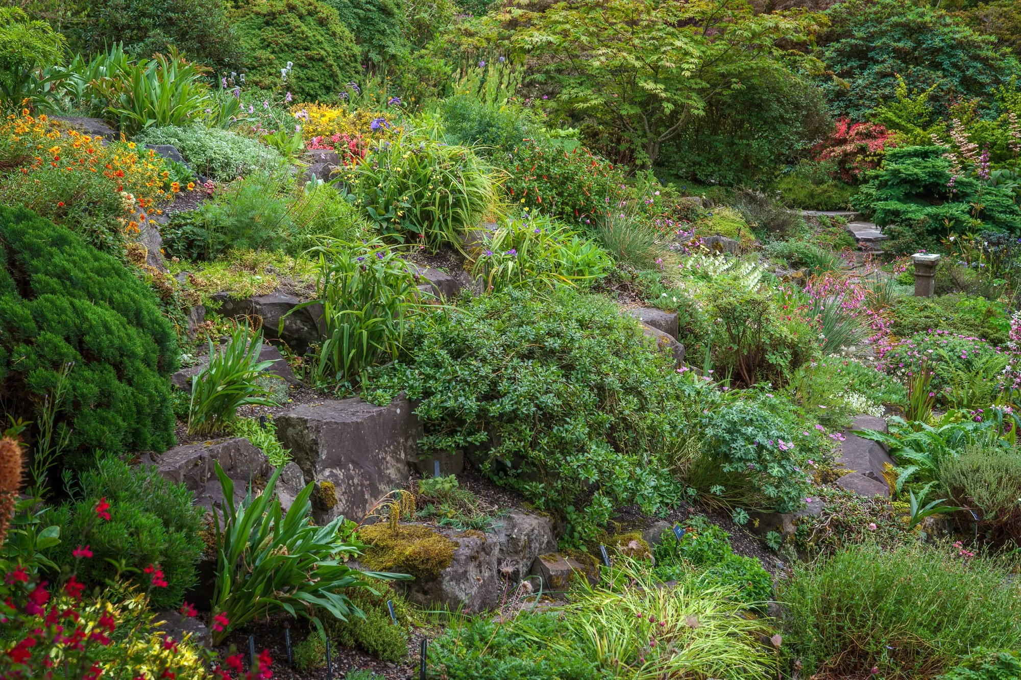 Branklyn Garden, Perth, Scotland, UK