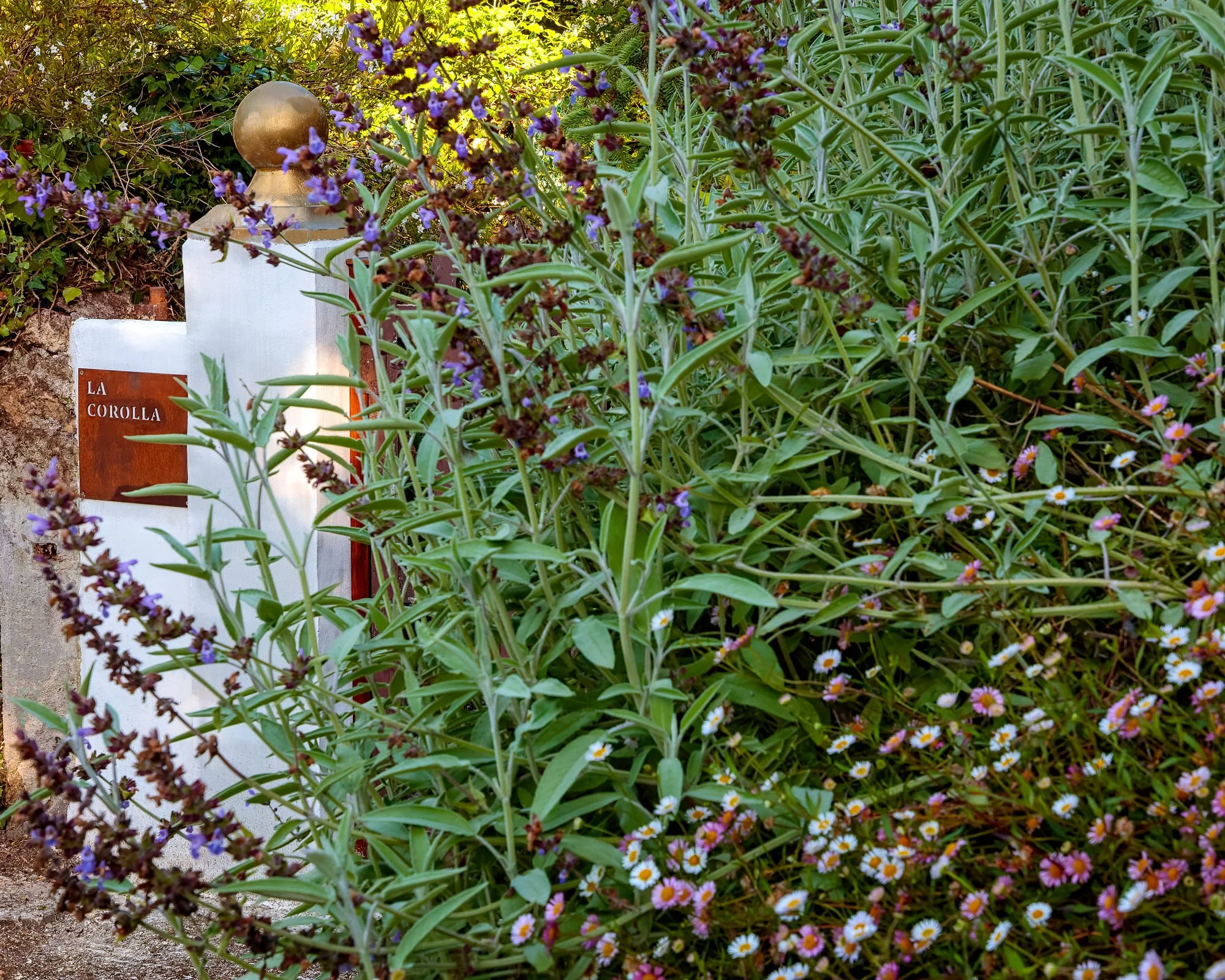 La Corolla Garden
