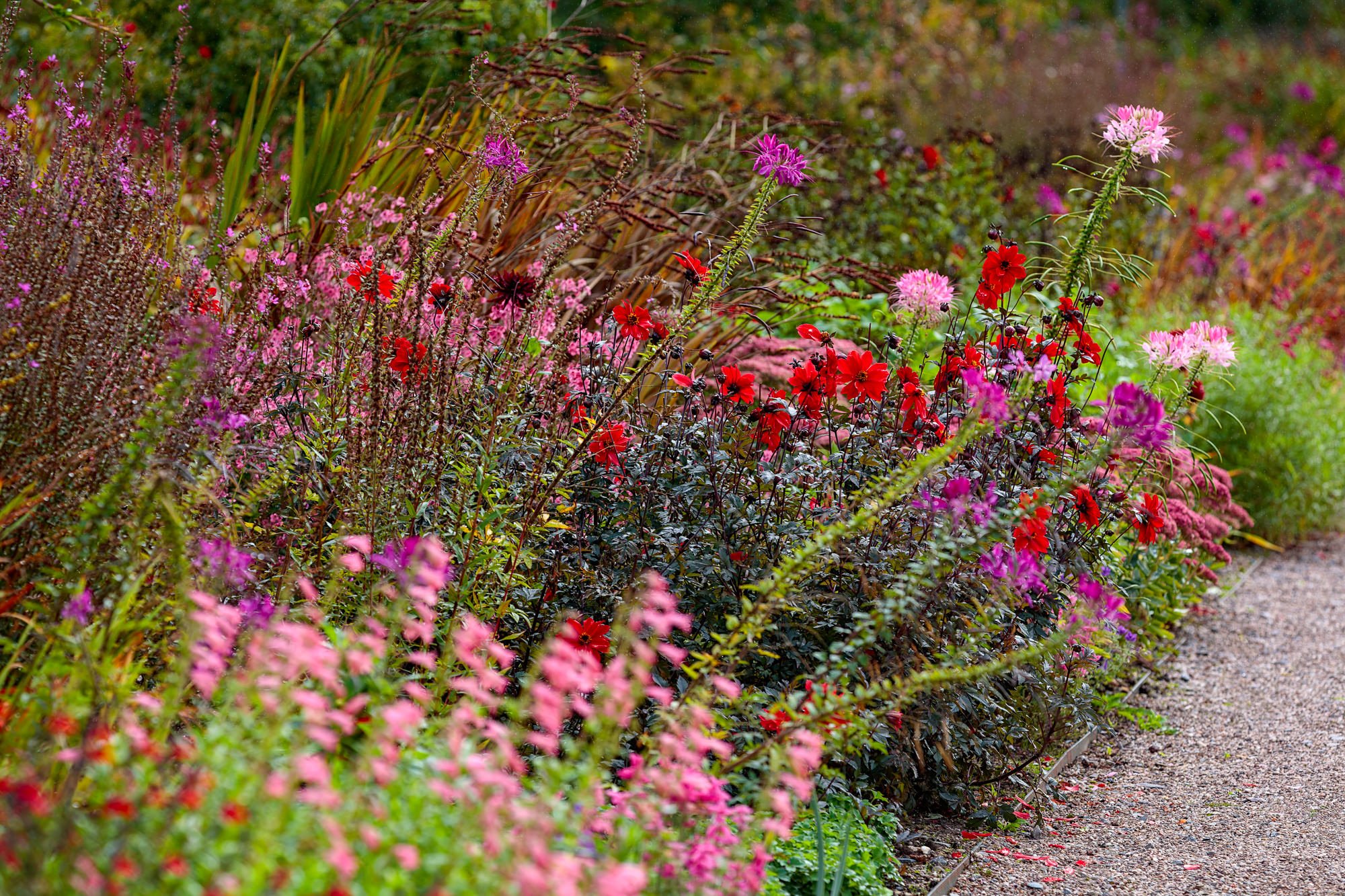 Cholmondeley Castle Gardens